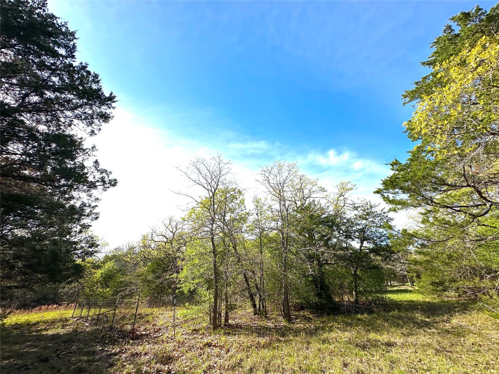 000 SW 3070 Road Purdon TX 76679