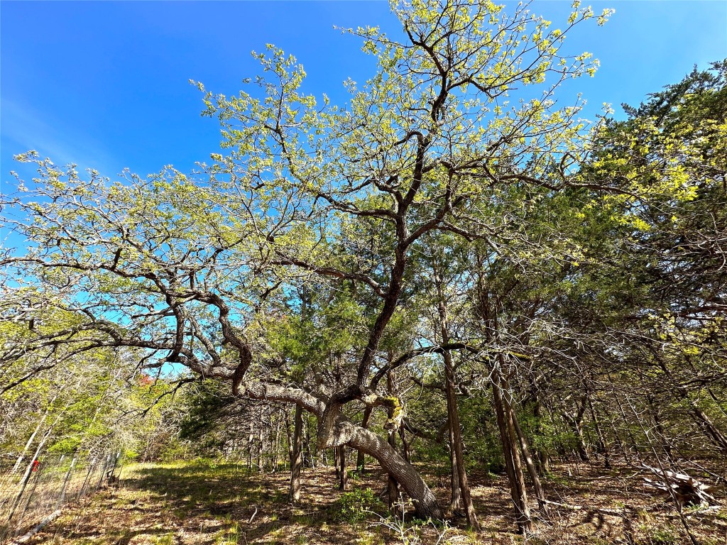 000 SW 3070 Road Purdon TX 76679