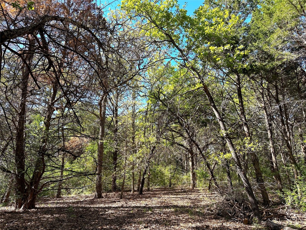 000 SW 3070 Road Purdon TX 76679