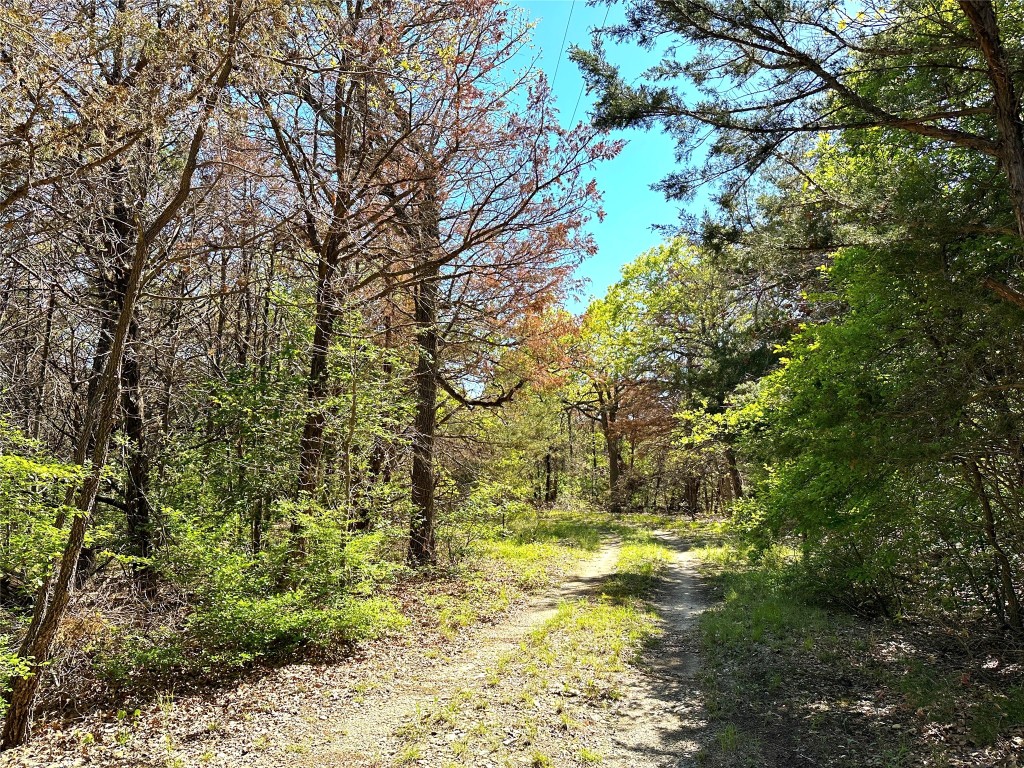 000 SW 3070 Road Purdon TX 76679