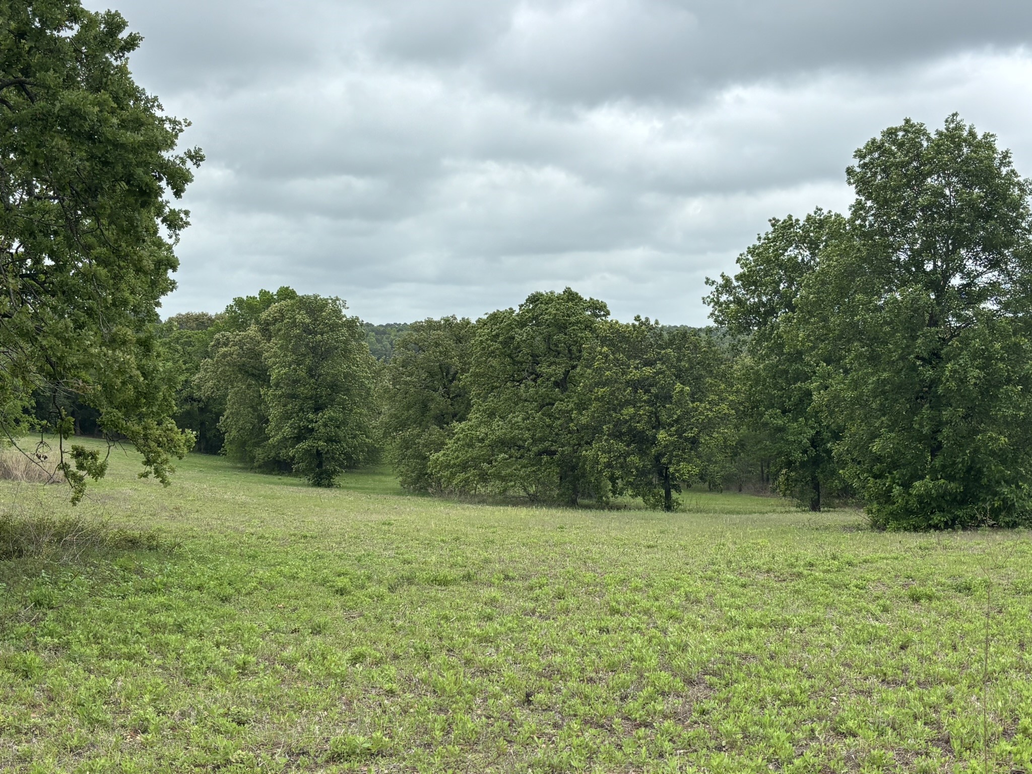 14074 Cr-3520 Brownsboro TX 75756
