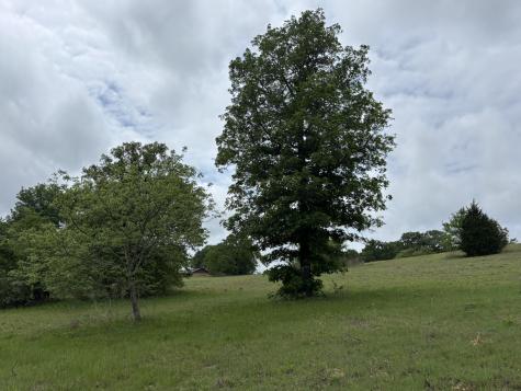 14074 Cr-3520 Brownsboro TX 75756