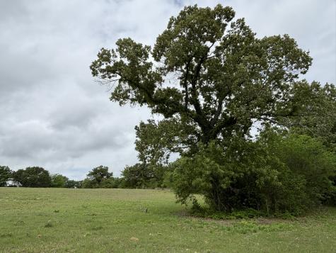 14074 Cr-3520 Brownsboro TX 75756