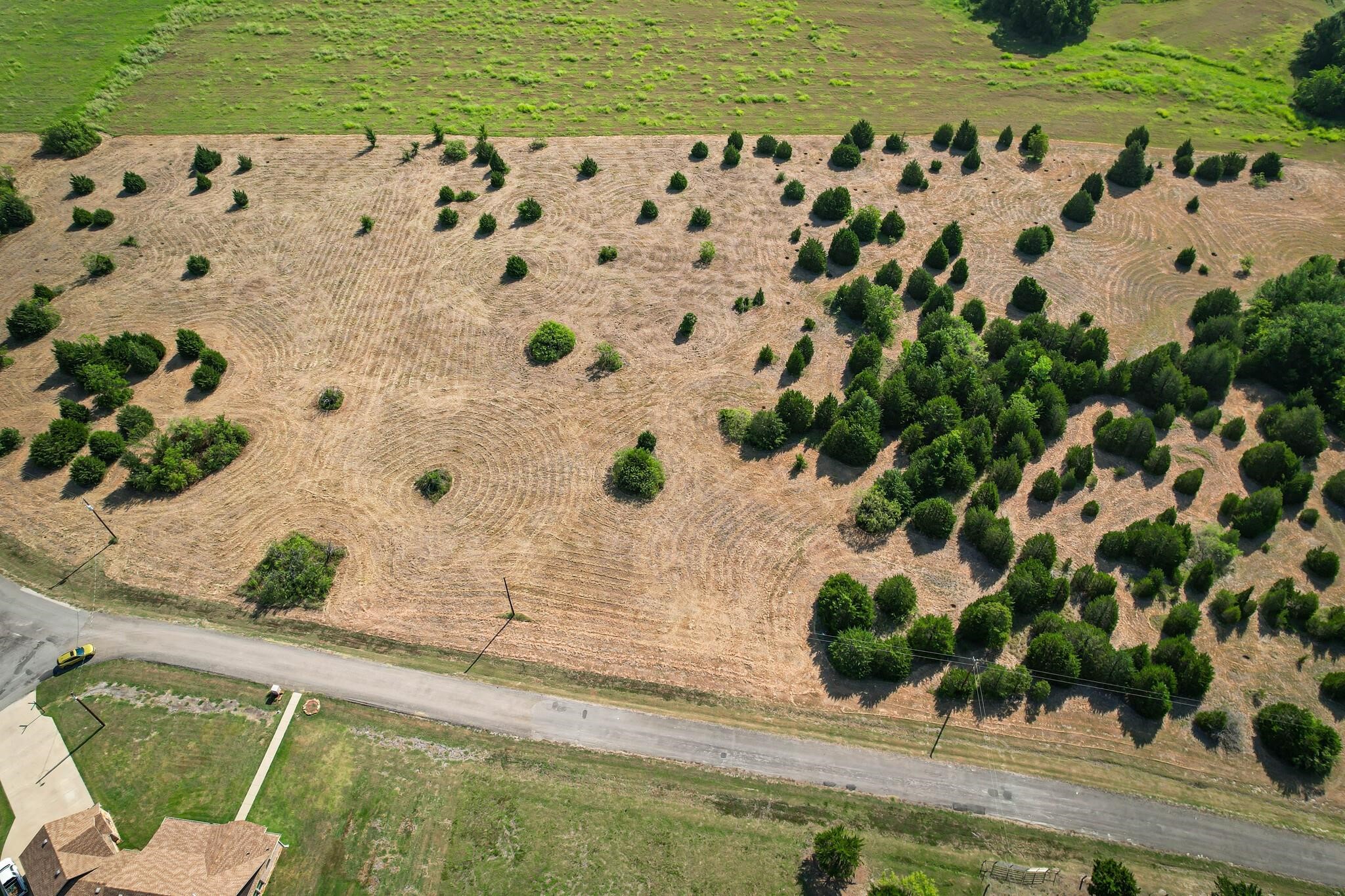 Tract 11 Baybridge Road Kerens TX 75144