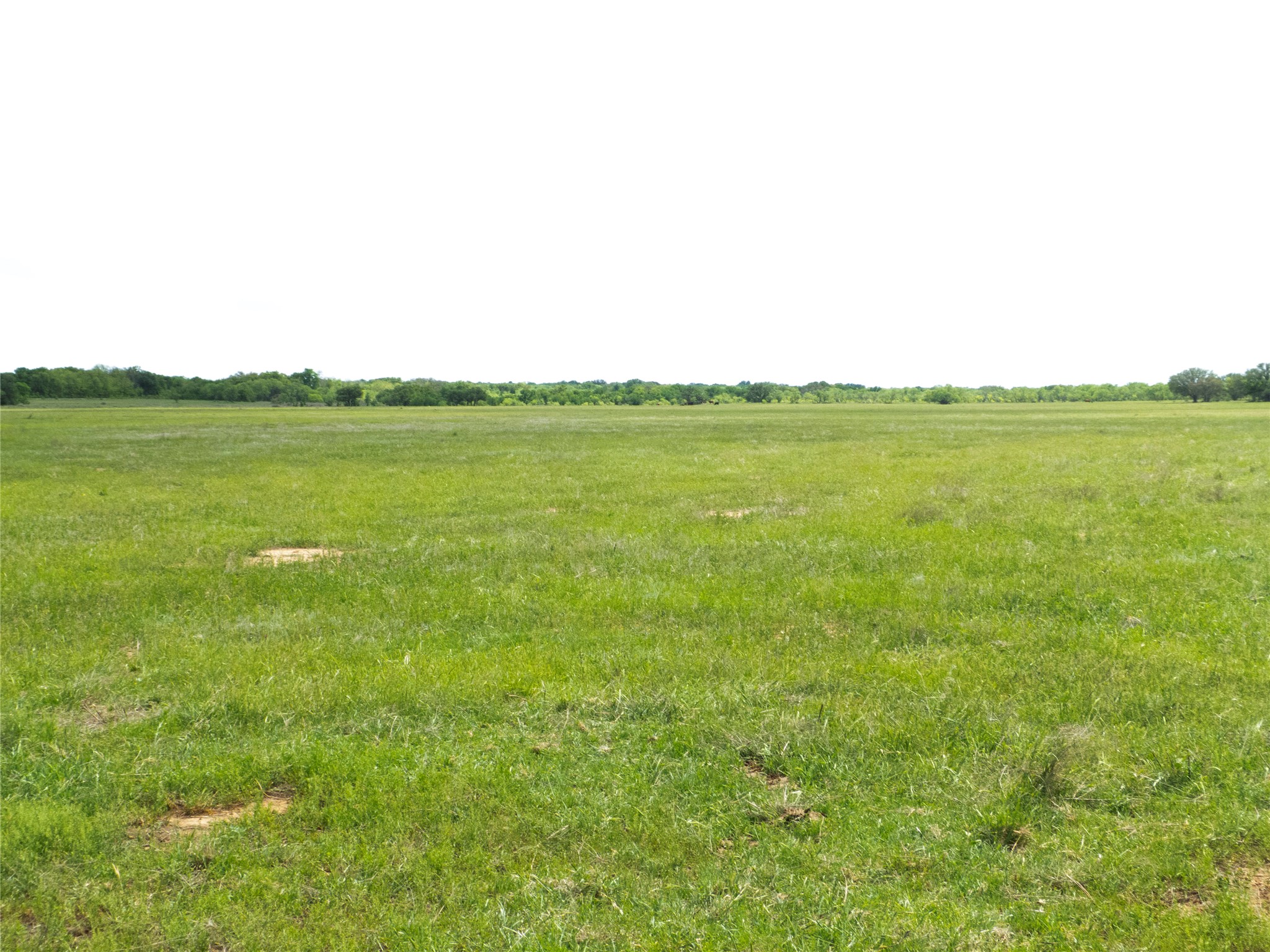 Tbd County Road 165 Early TX 76802
