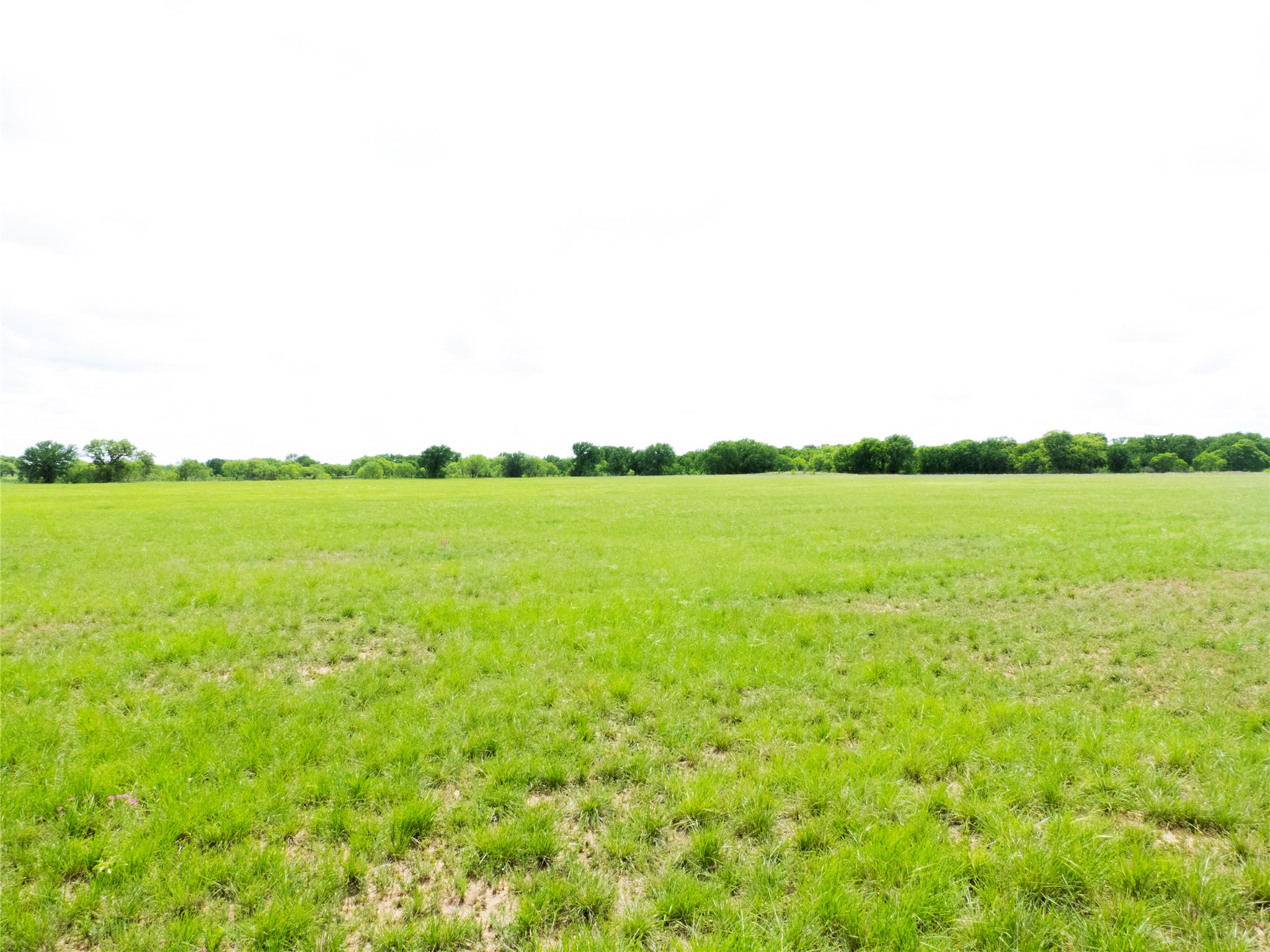 Tbd County Road 165 Early TX 76802
