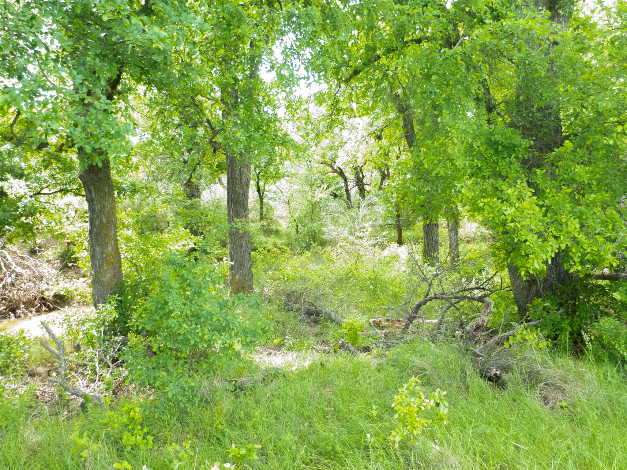 Tbd County Road 165 Early TX 76802