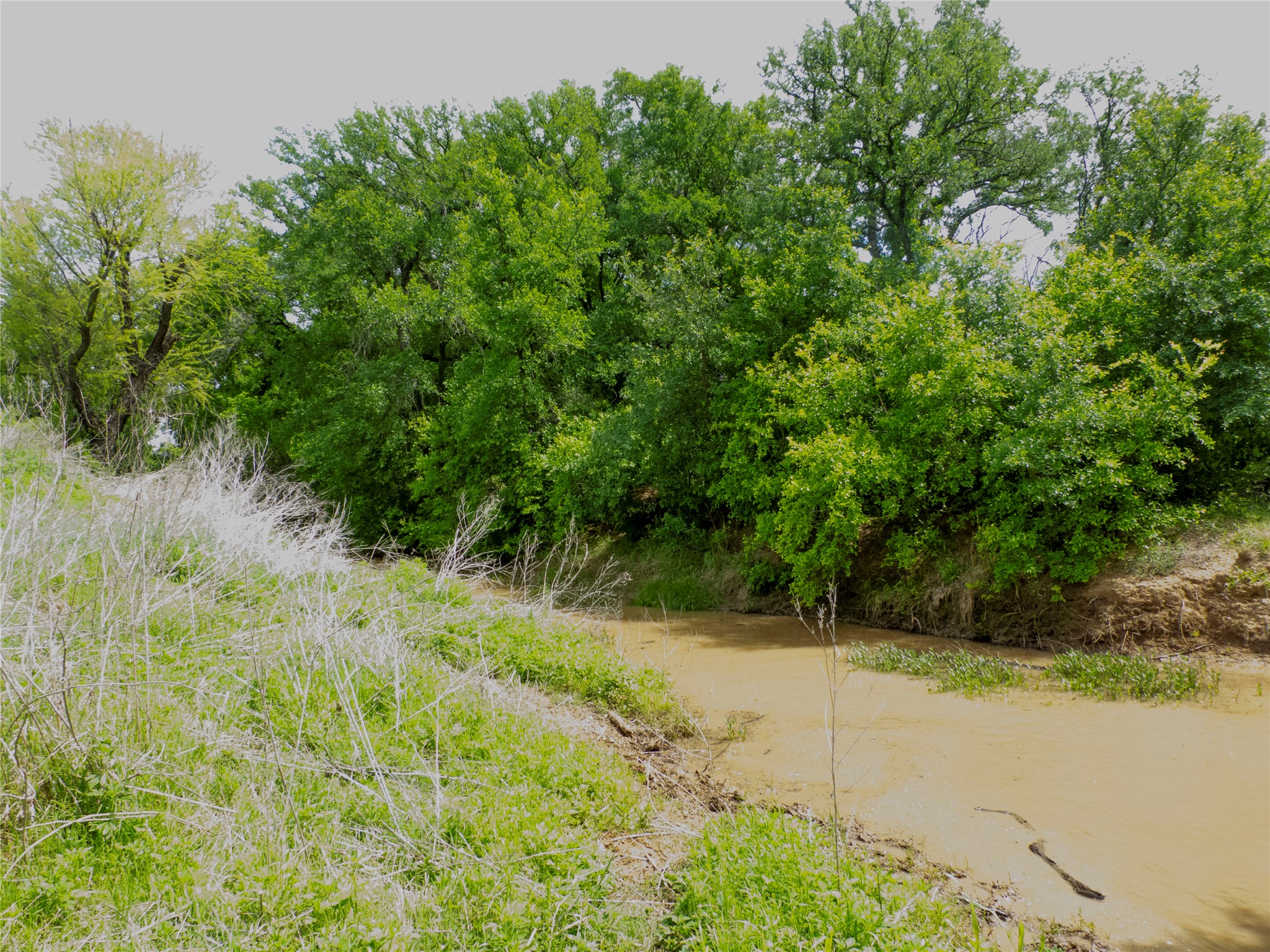 Tbd County Road 165 Early TX 76802