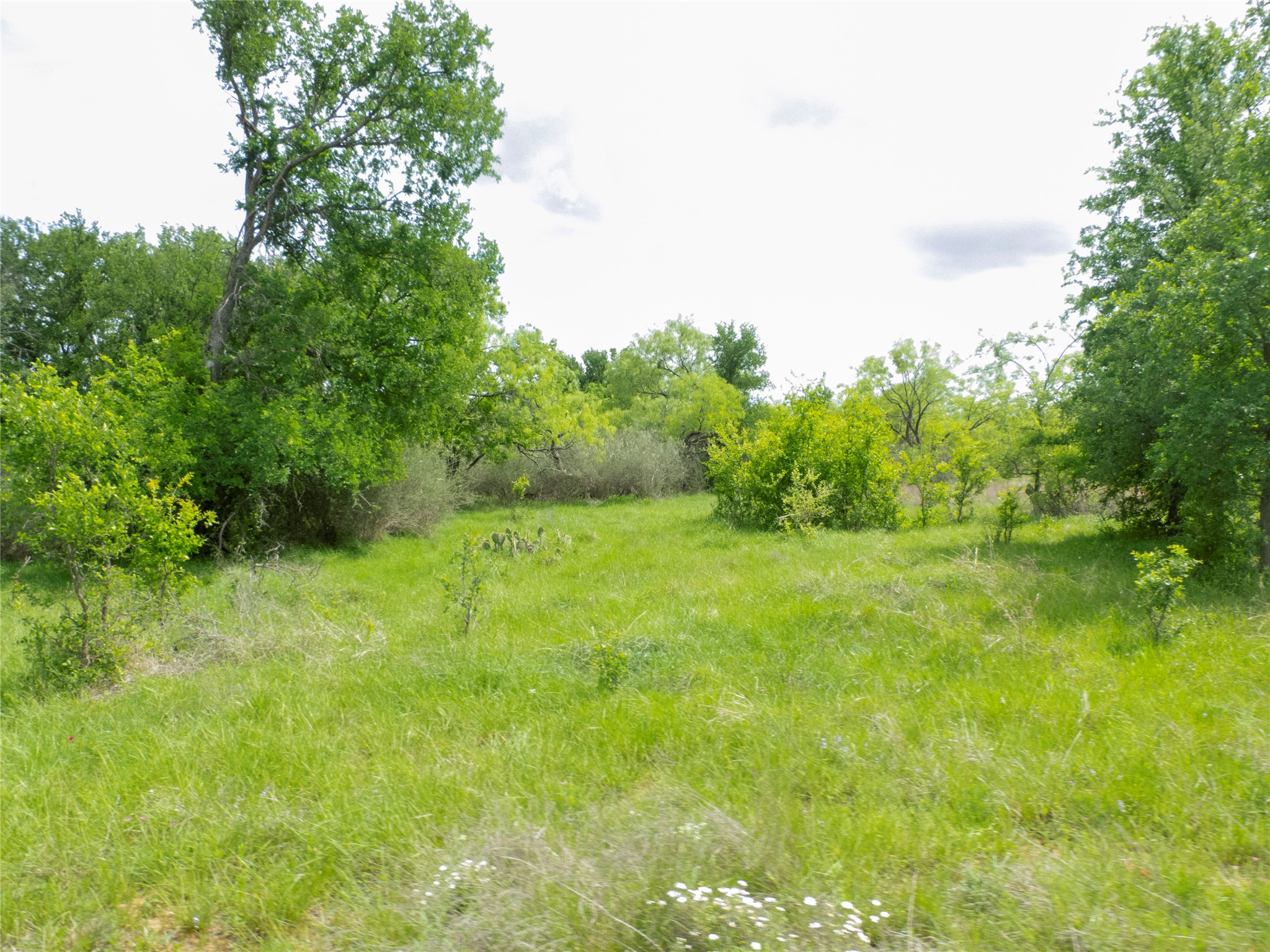 Tbd County Road 165 Early TX 76802