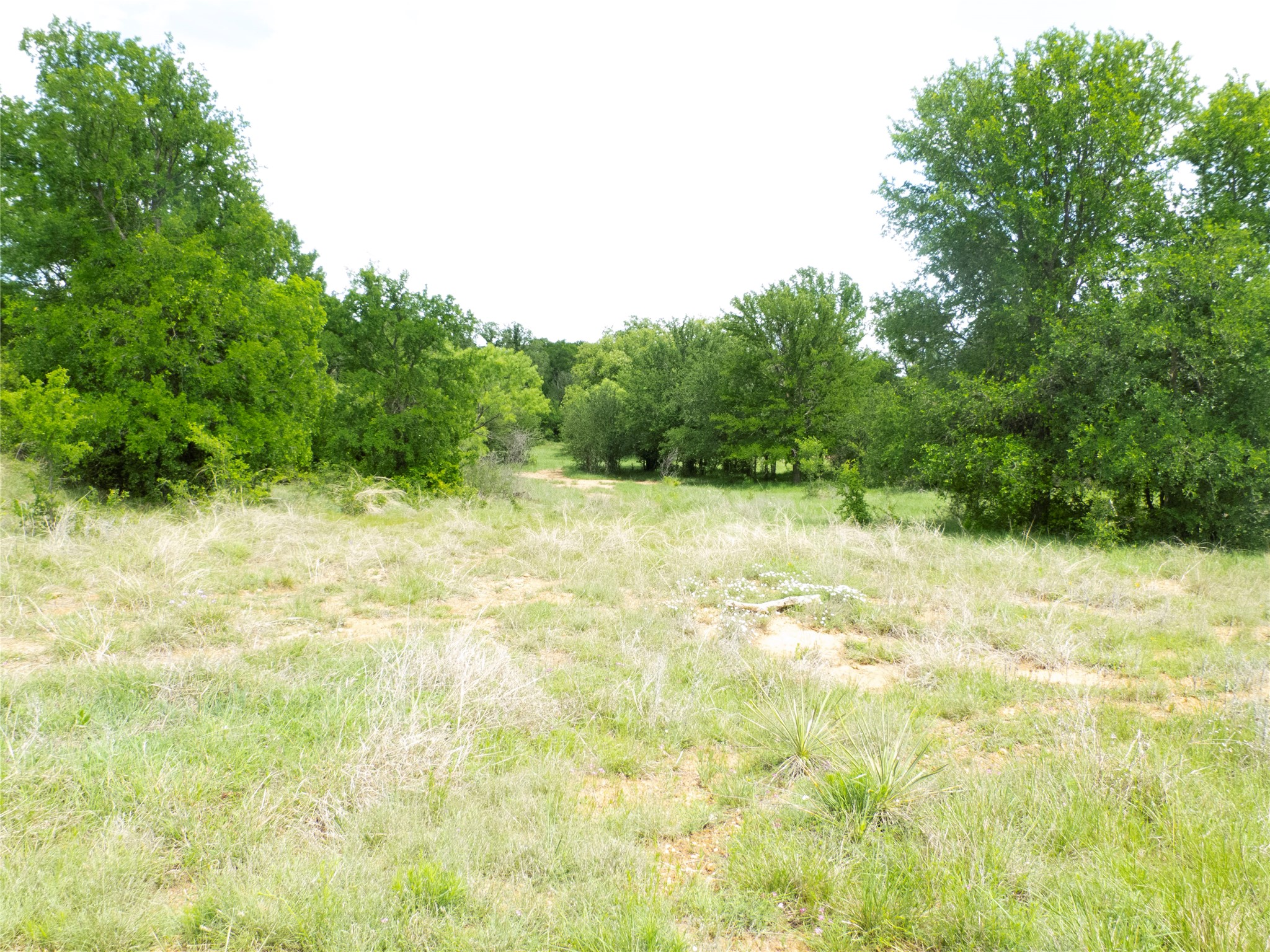 Tbd County Road 165 Early TX 76802