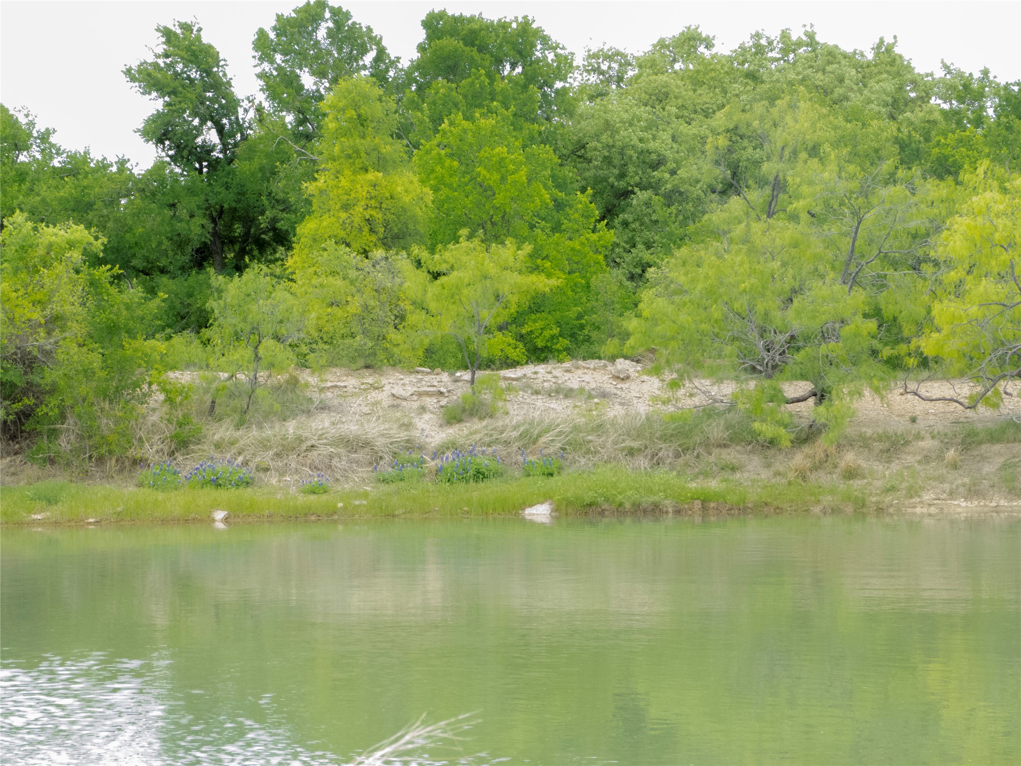 Tbd County Road 165 Early TX 76802