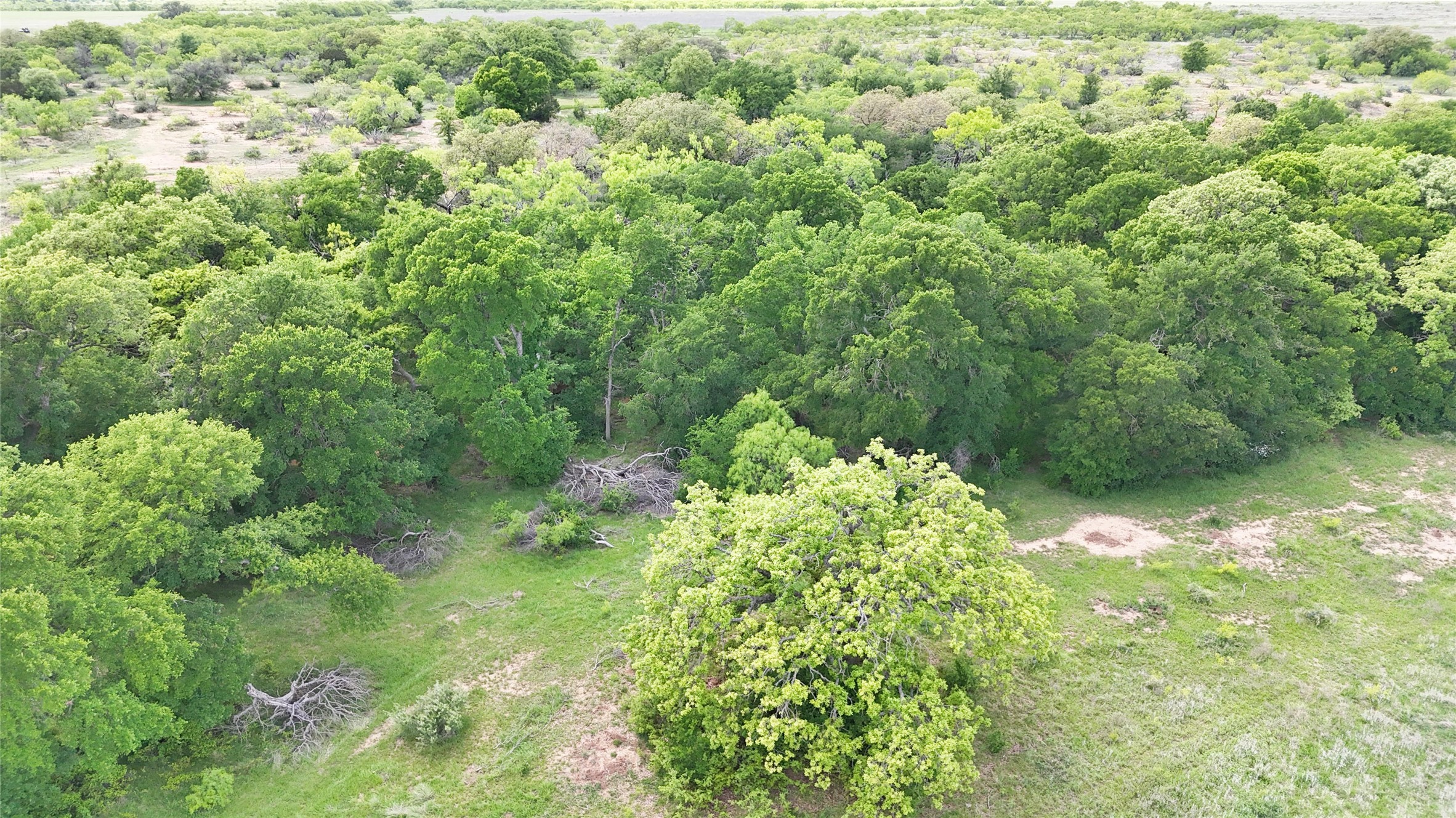 Tbd County Road 165 Early TX 76802