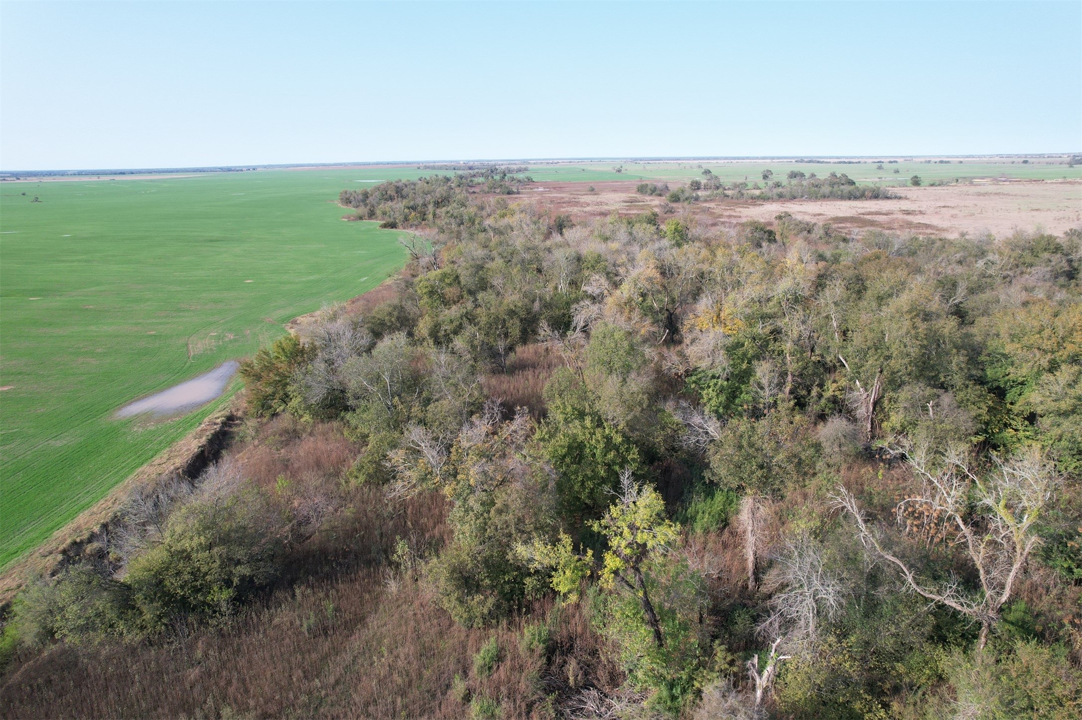 0 E Fm 413 Reagan TX 76570