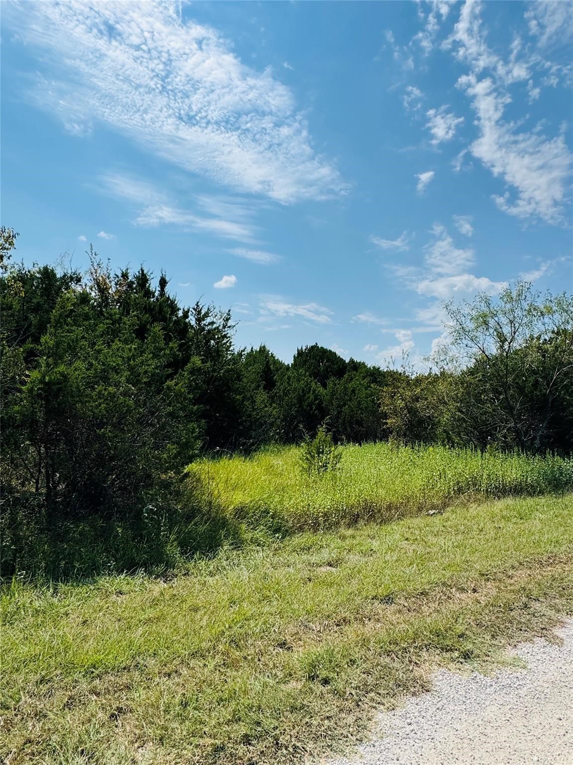 36060 Cedar Ridge Drive Whitney TX 76692