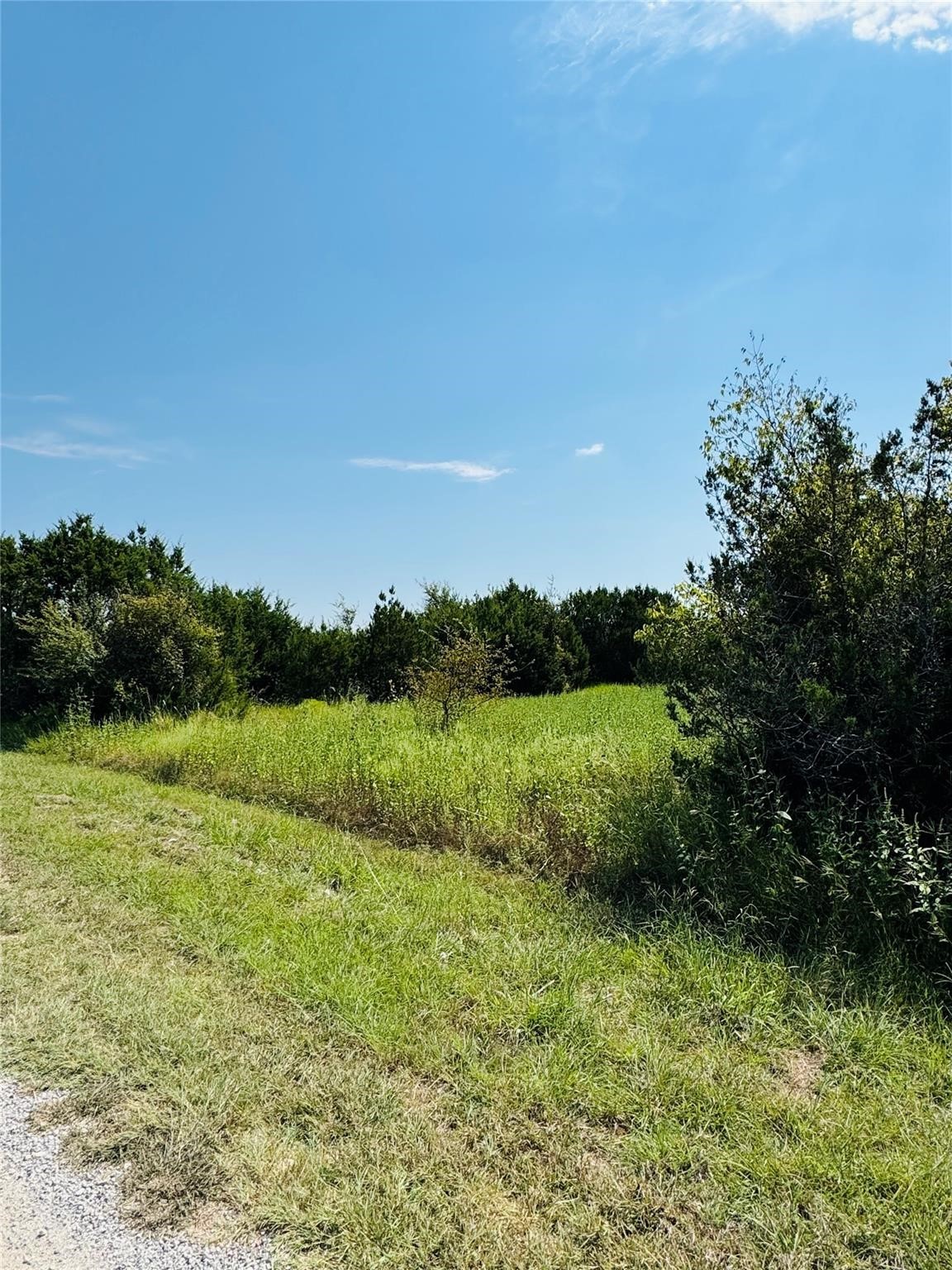 36060 Cedar Ridge Drive Whitney TX 76692