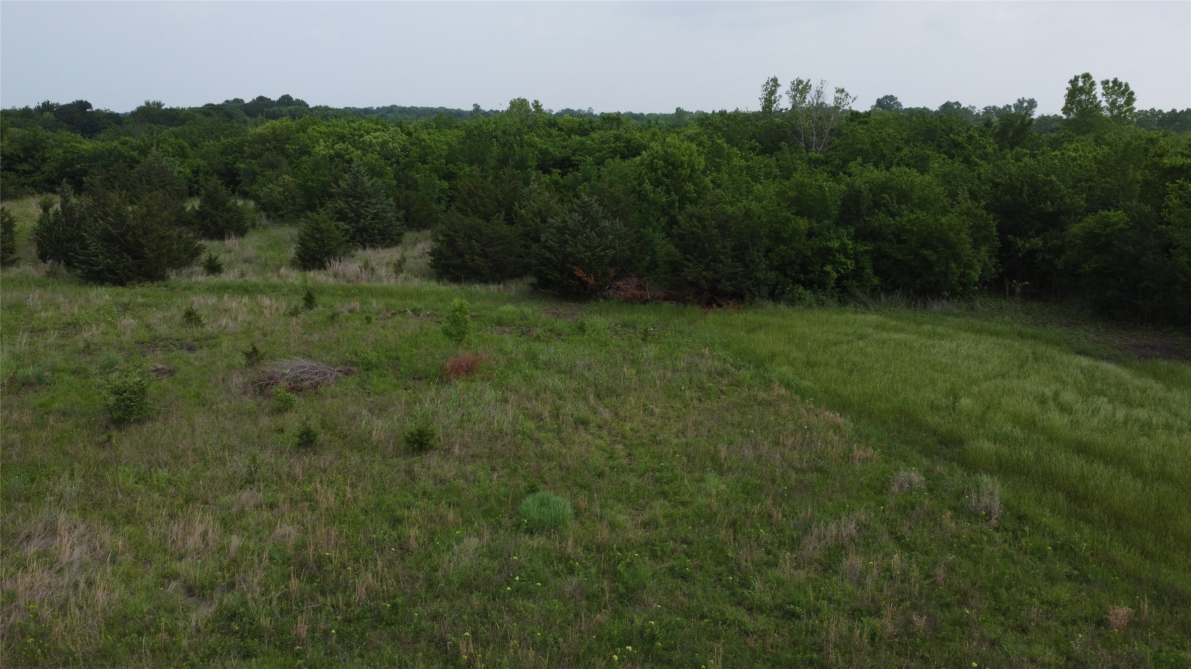 0000 County Road 4806 Commerce TX 75428