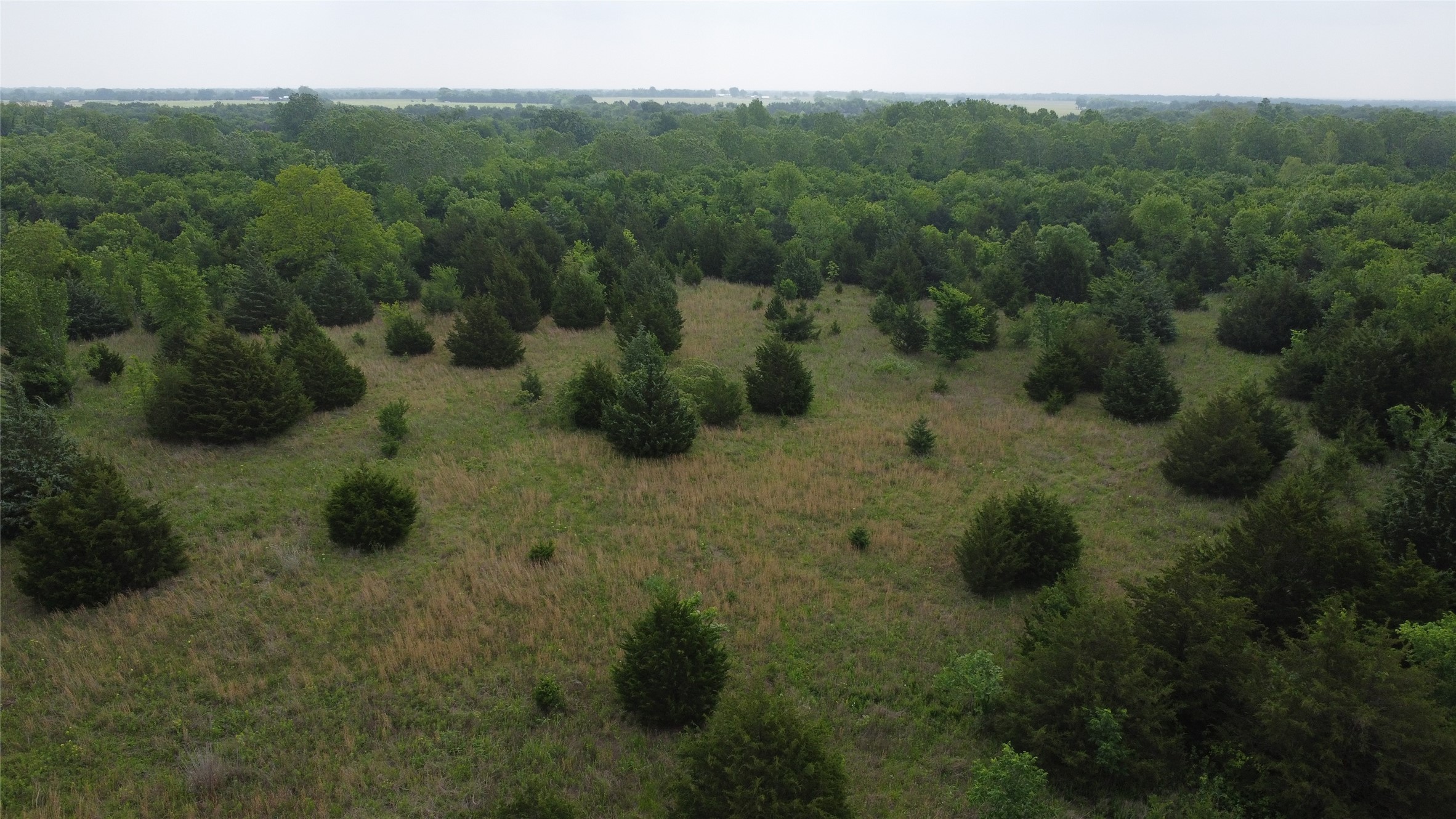 0000 County Road 4806 Commerce TX 75428
