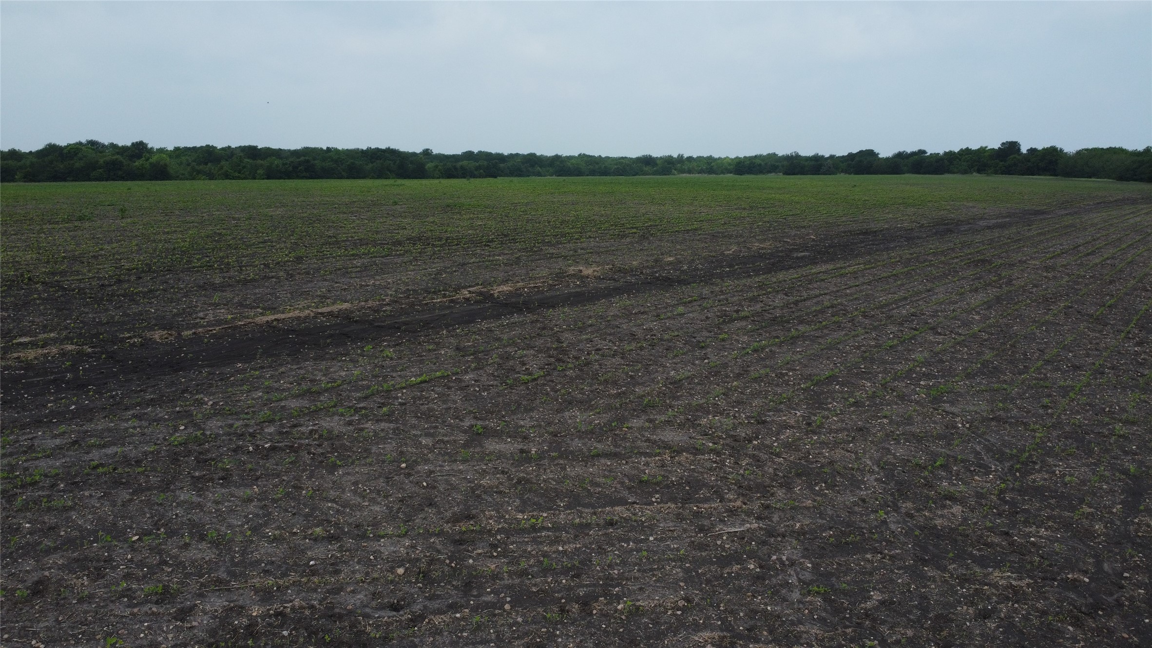 0000 County Road 4806 Commerce TX 75428