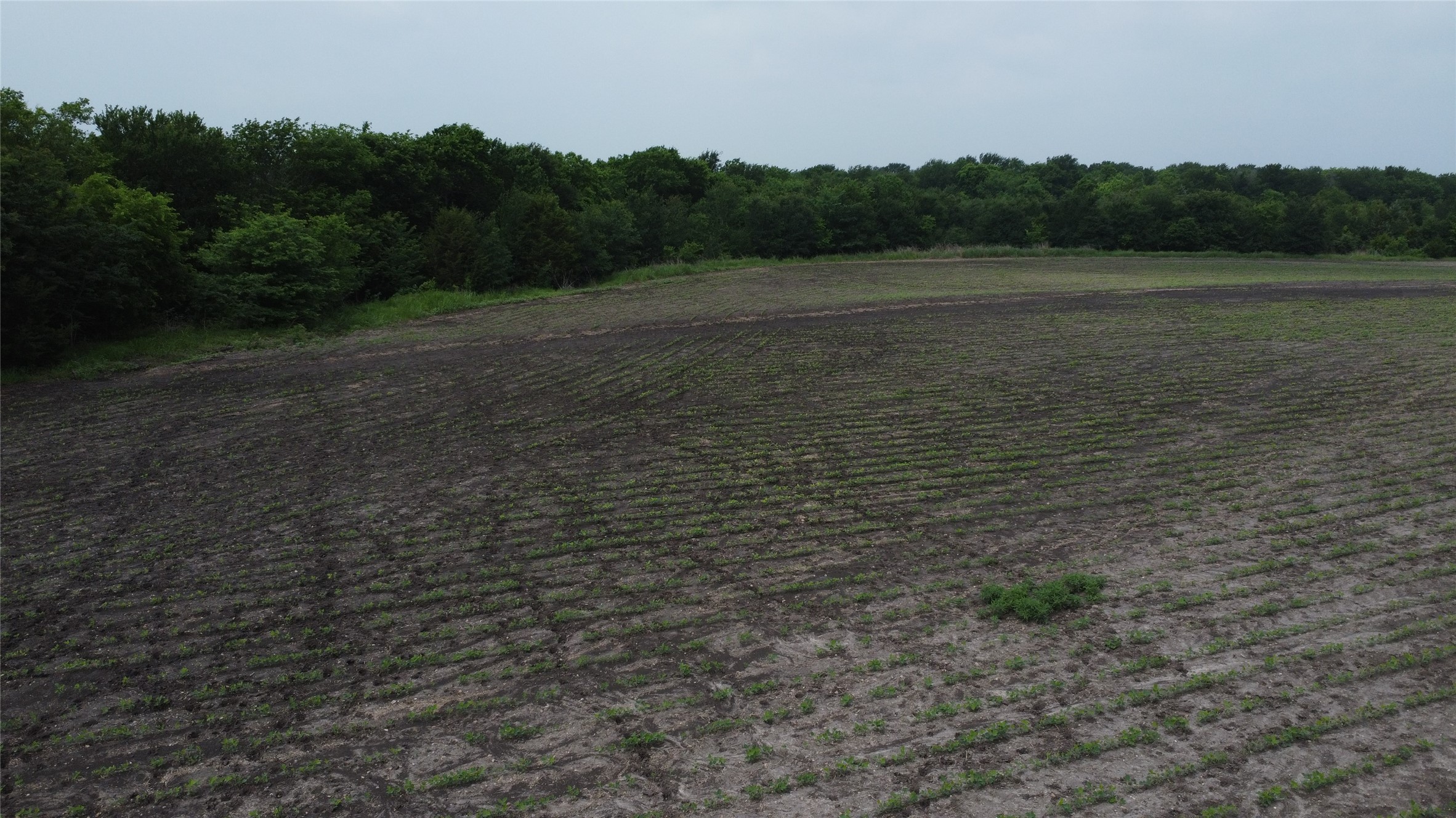 0000 County Road 4806 Commerce TX 75428