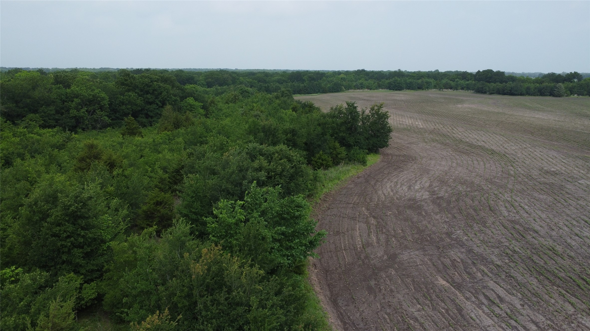 0000 County Road 4806 Commerce TX 75428