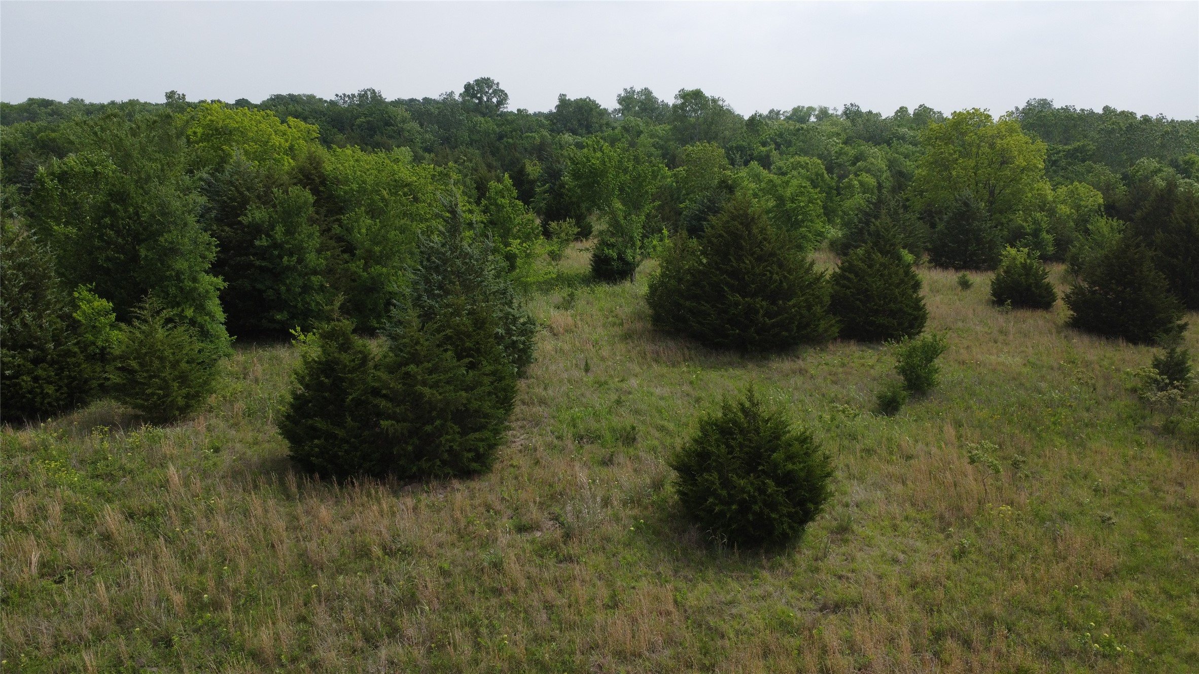 0000 County Road 4806 Commerce TX 75428