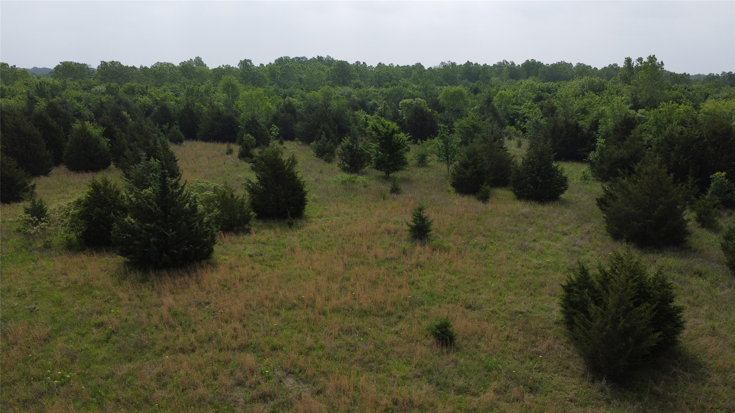 0000 County Road 4806 Commerce TX 75428
