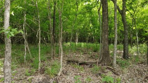 0000 County Road 4806 Commerce TX 75428