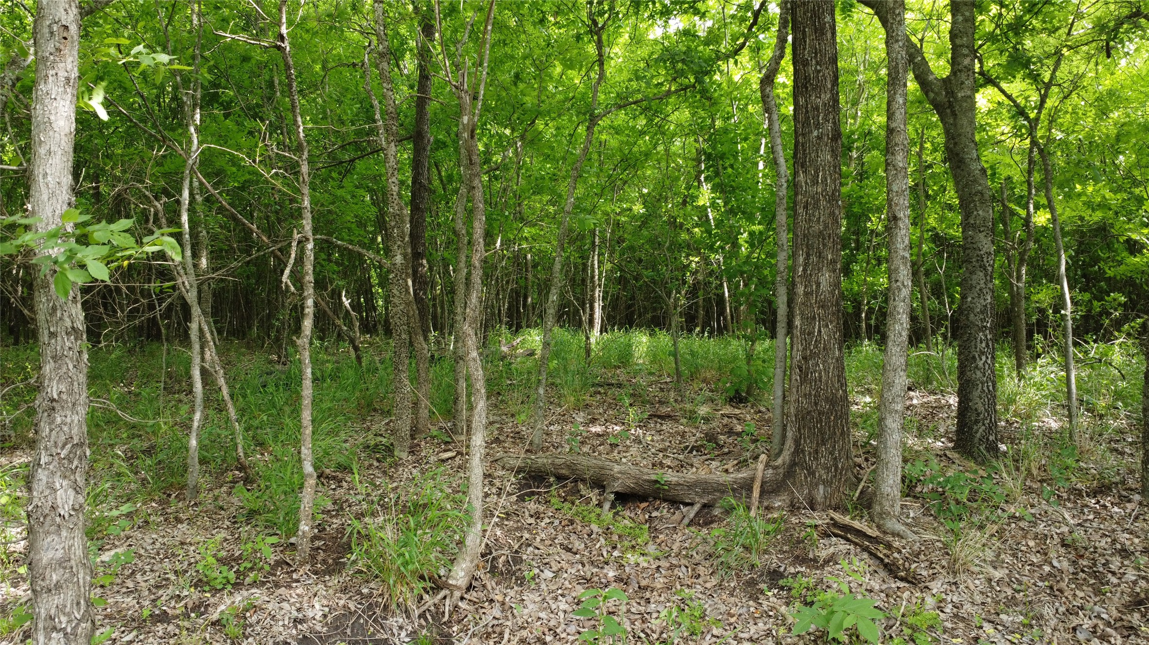 0000 County Road 4806 Commerce TX 75428