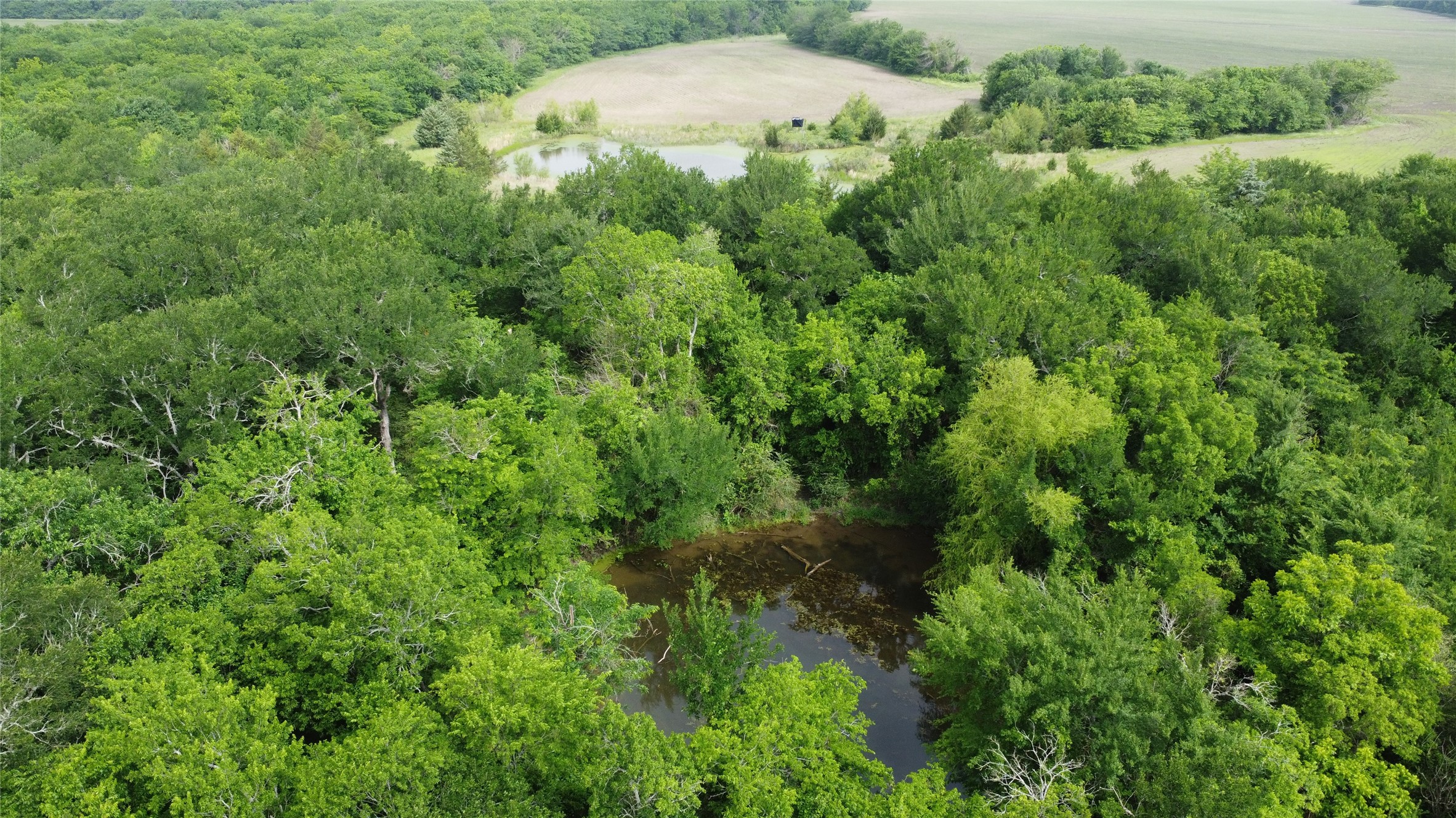 0000 County Road 4806 Commerce TX 75428