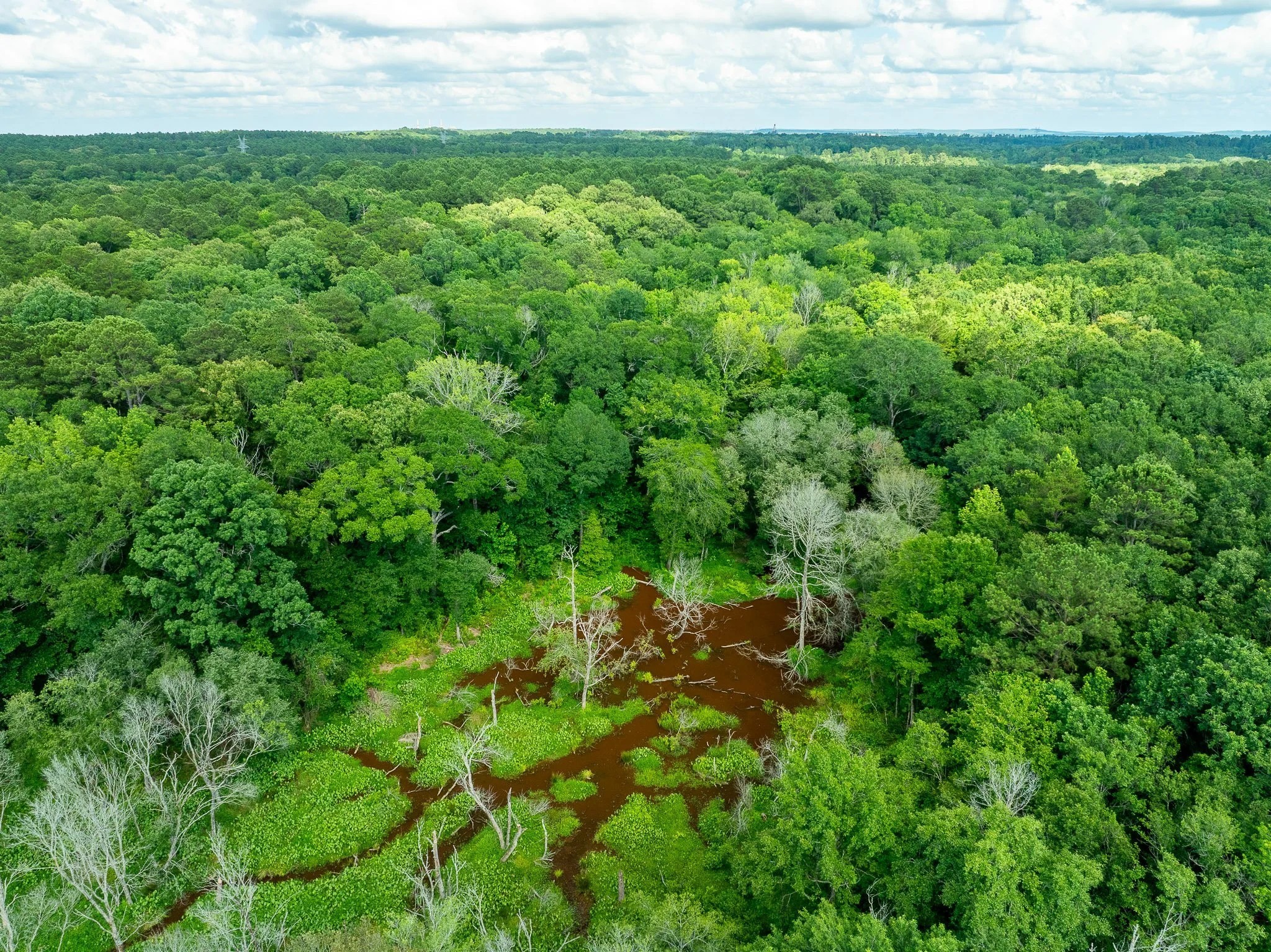 Na Cr 2137 D Tatum TX 75961