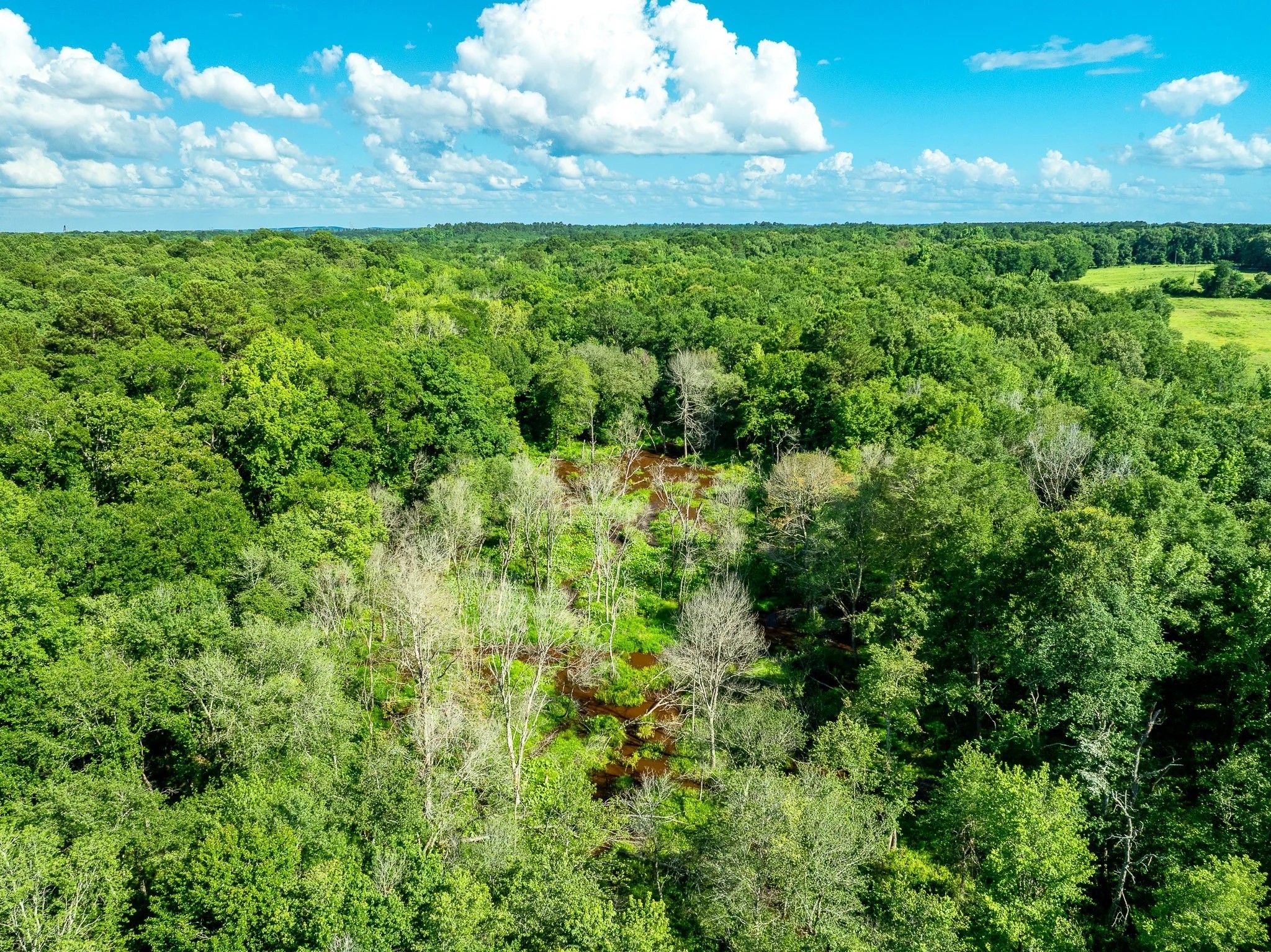 Na Cr 2137 D Tatum TX 75961