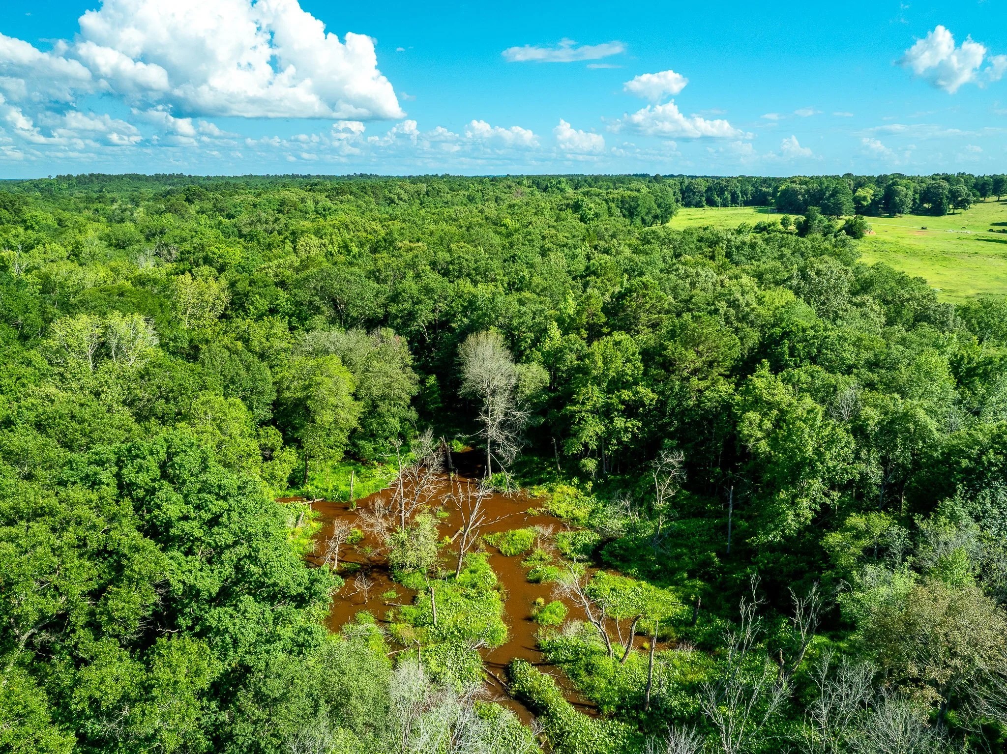 Na Cr 2137 D Tatum TX 75961