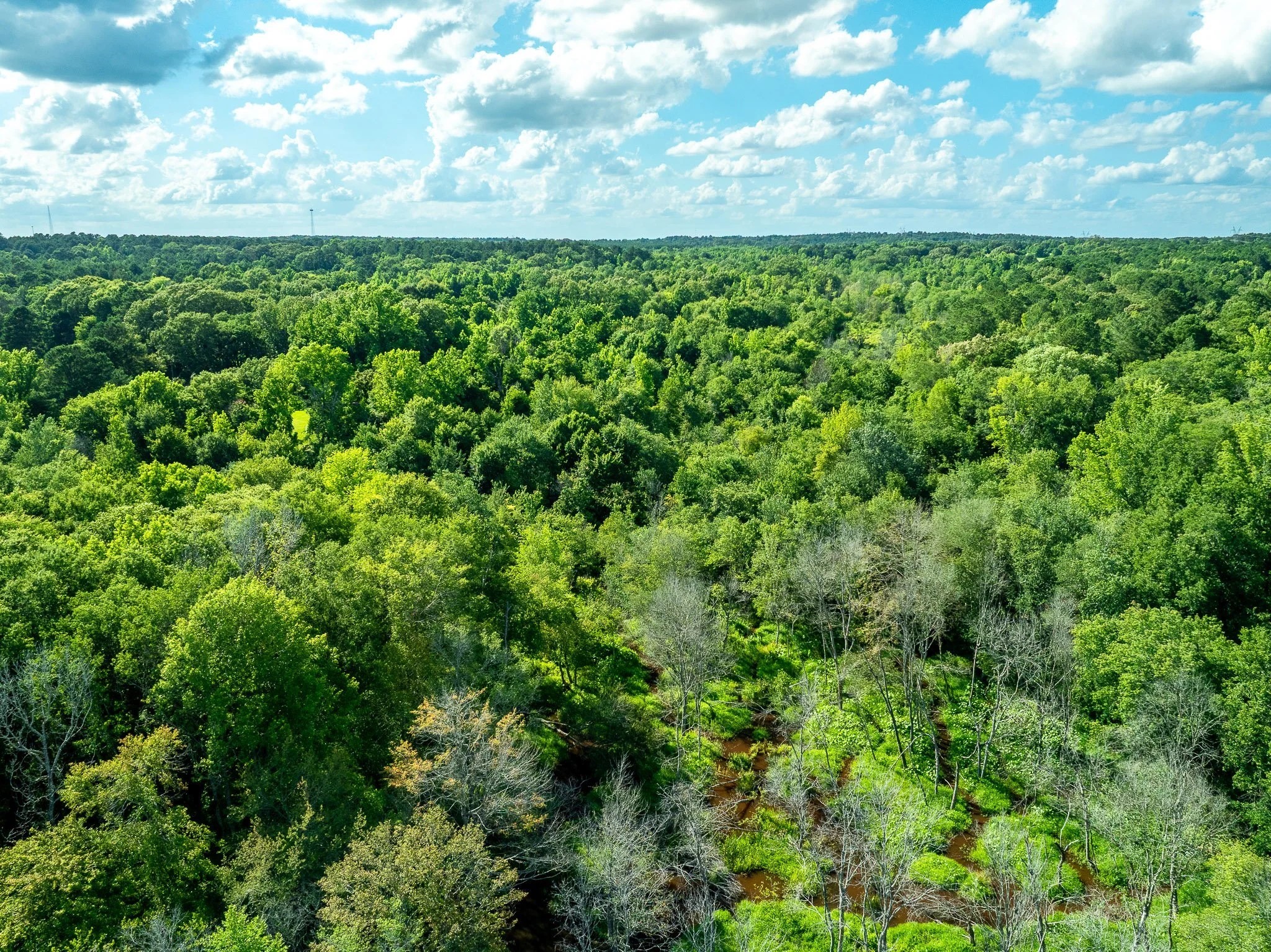 Na Cr 2137 D Tatum TX 75961