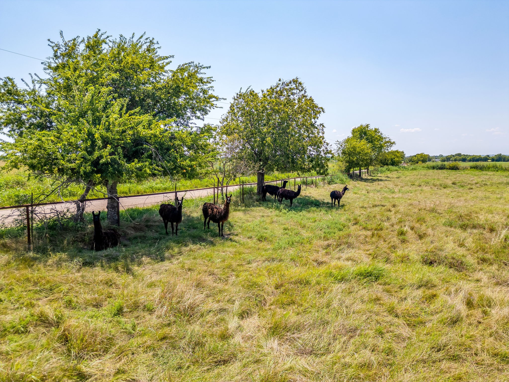 1041 County Road 310a Cleburne TX 76031