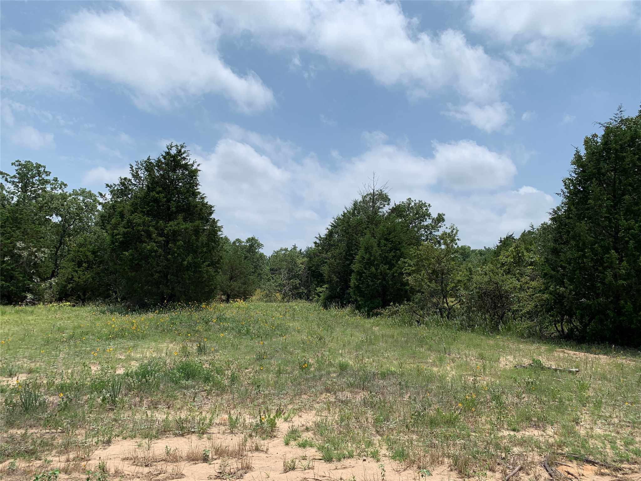 Tbd Farm-to-market 2494 Athens TX 75751