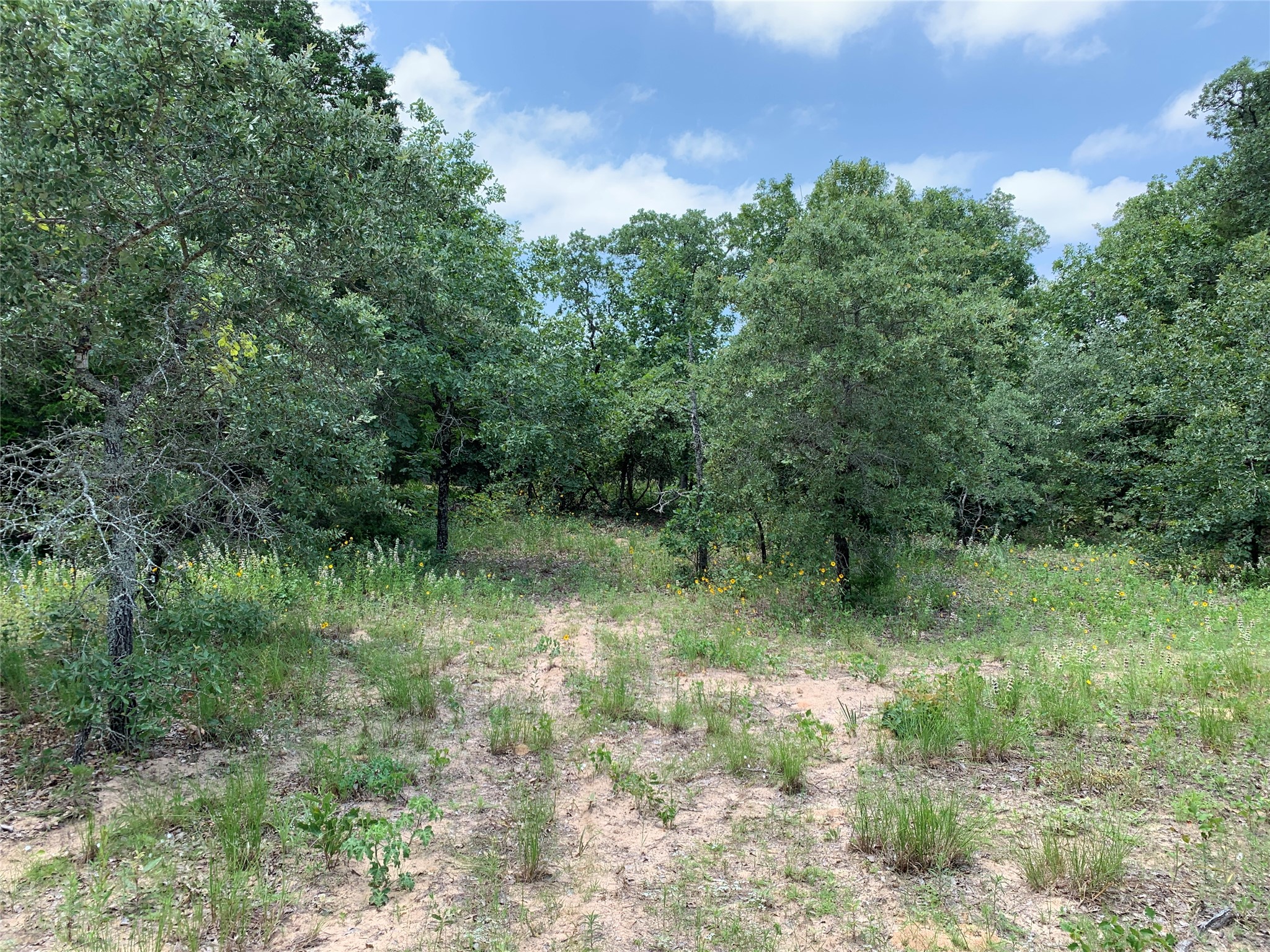 Tbd Farm-to-market 2494 Athens TX 75751