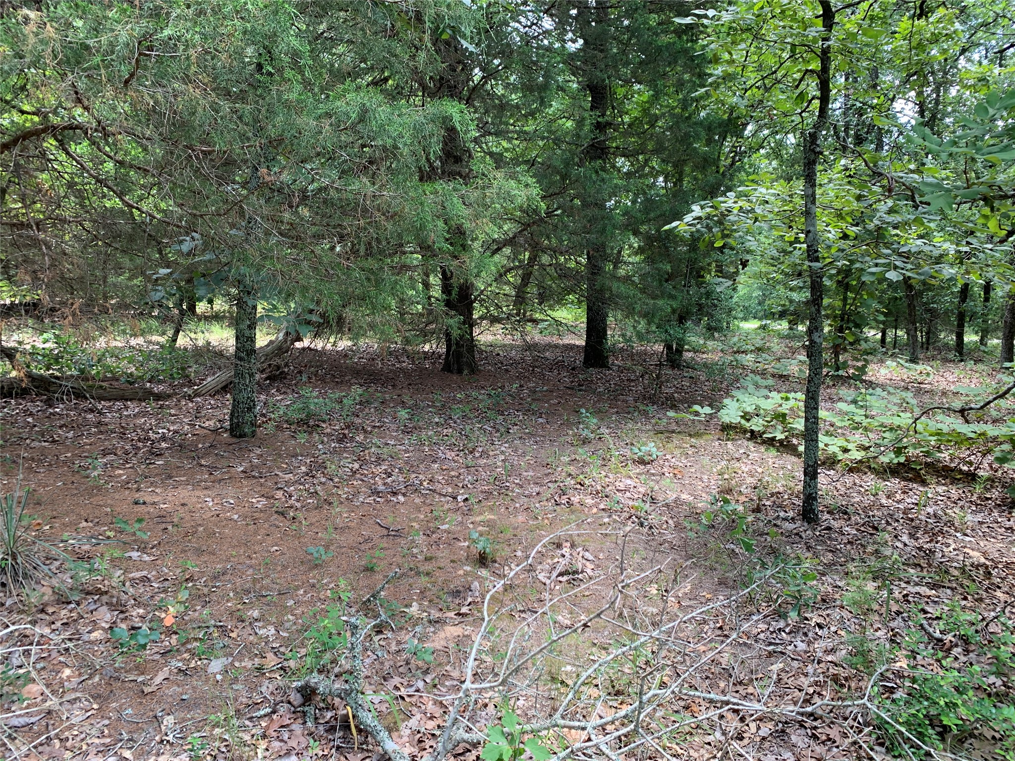 Tbd Farm-to-market 2494 Athens TX 75751