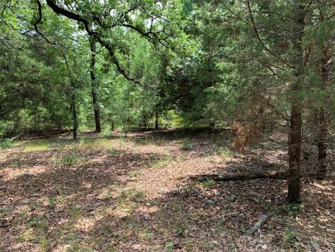 Tbd Farm-to-market 2494 Athens TX 75751