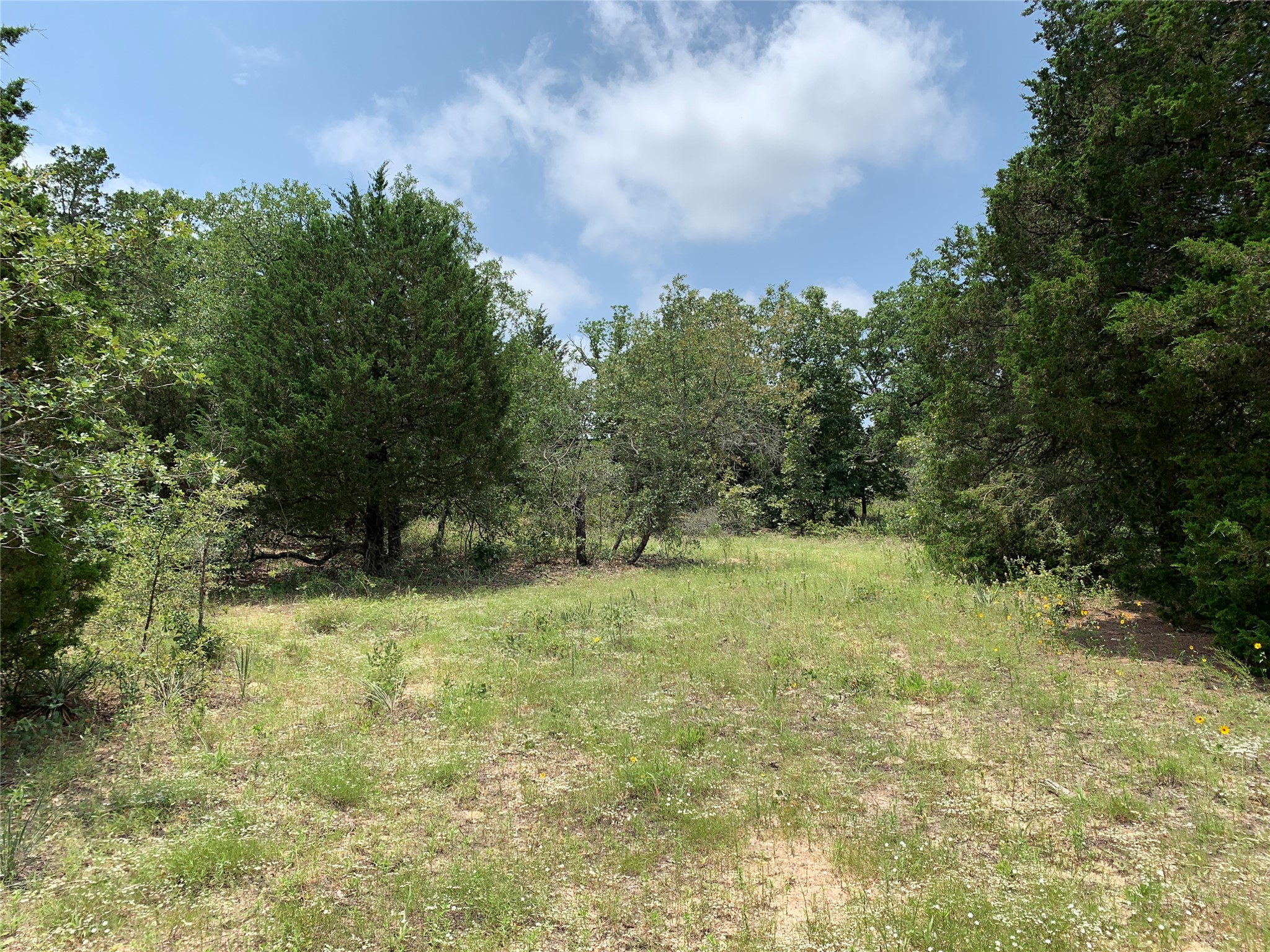 Tbd Farm-to-market 2494 Athens TX 75751