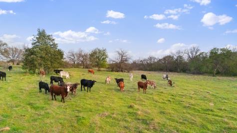 3647 County Road 265 Collinsville TX 76233