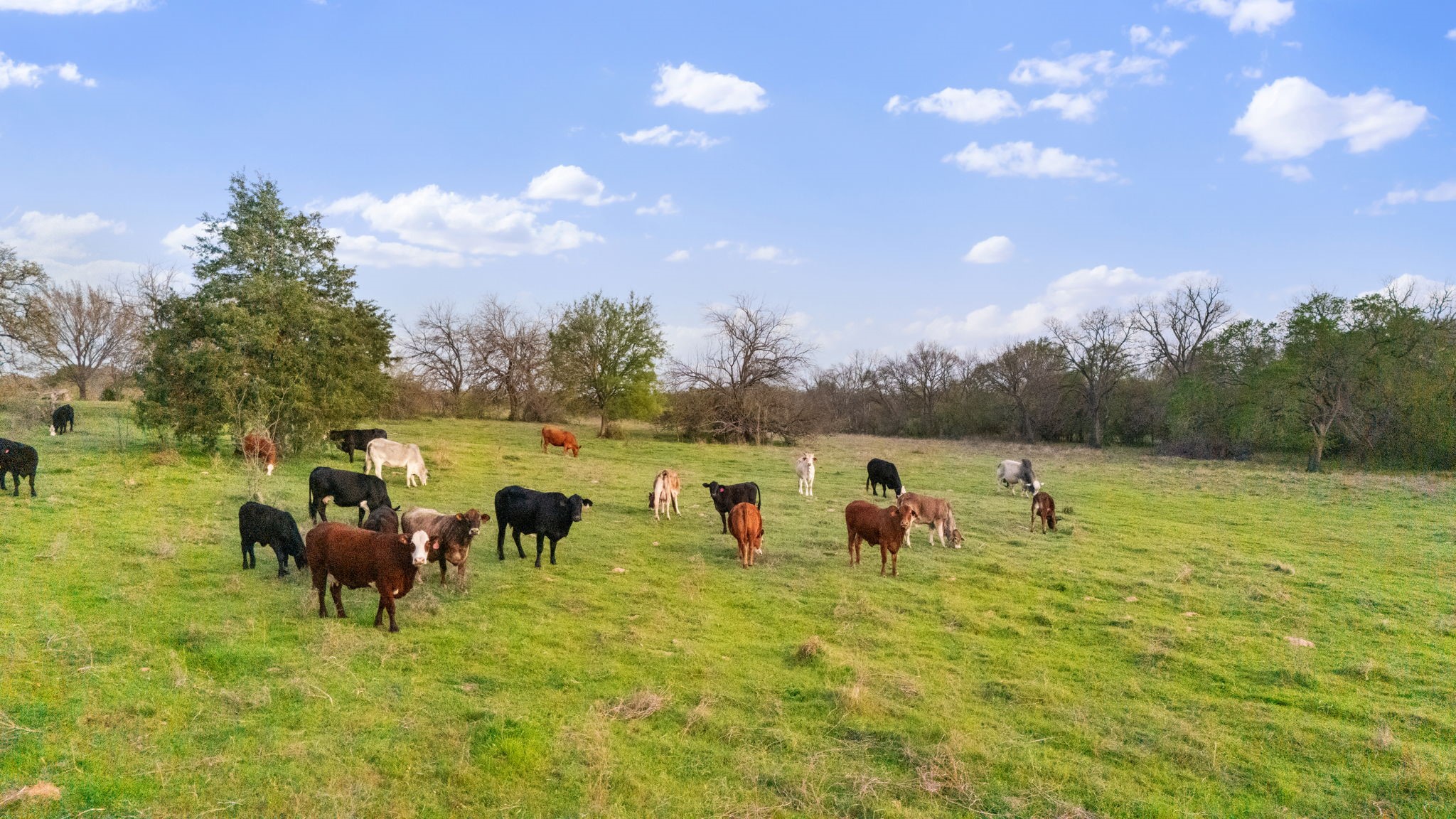 3647 County Road 265 Collinsville TX 76233