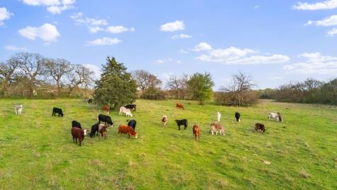 3647 County Road 265 Collinsville TX 76233