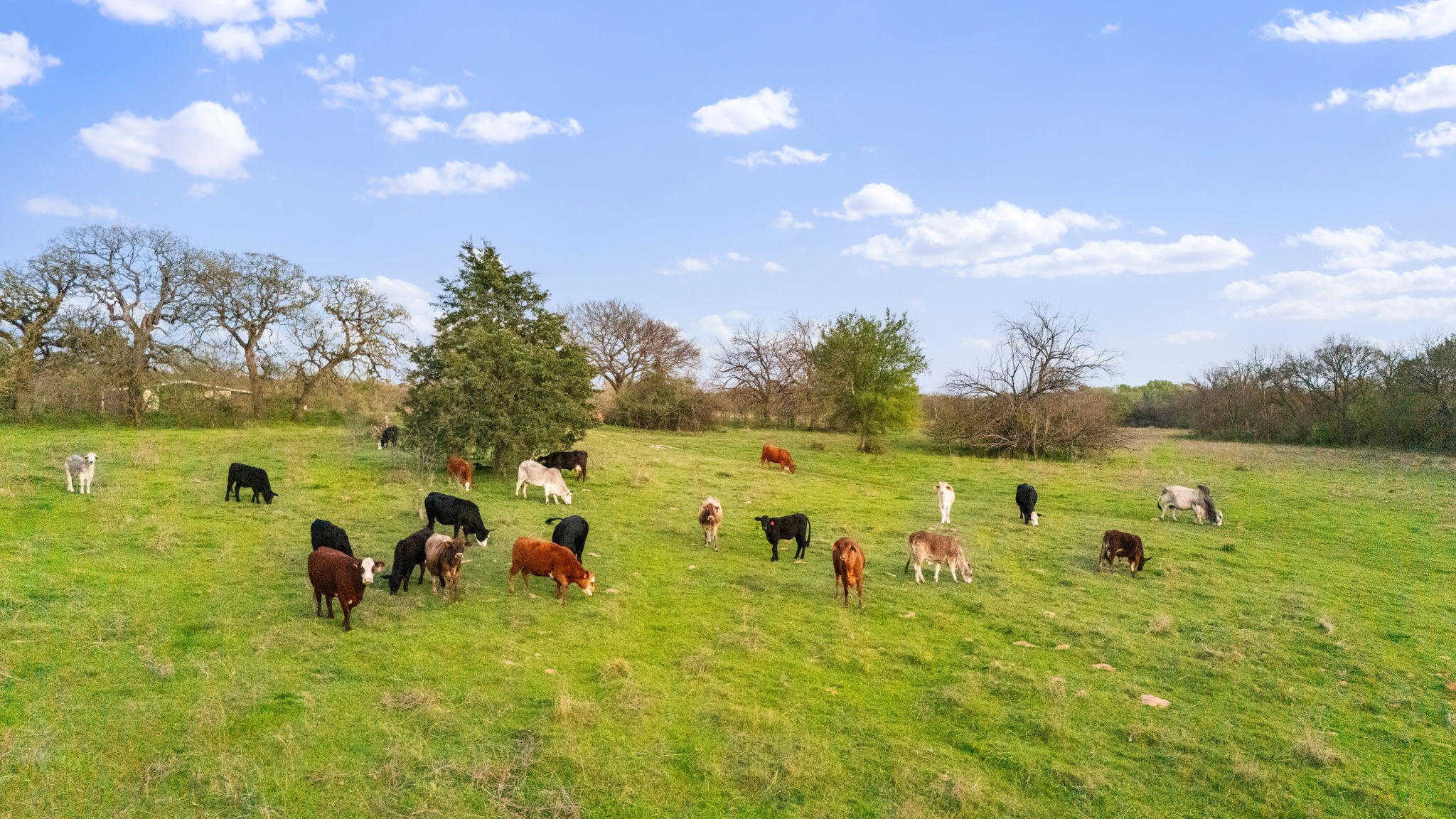 3647 County Road 265 Collinsville TX 76233
