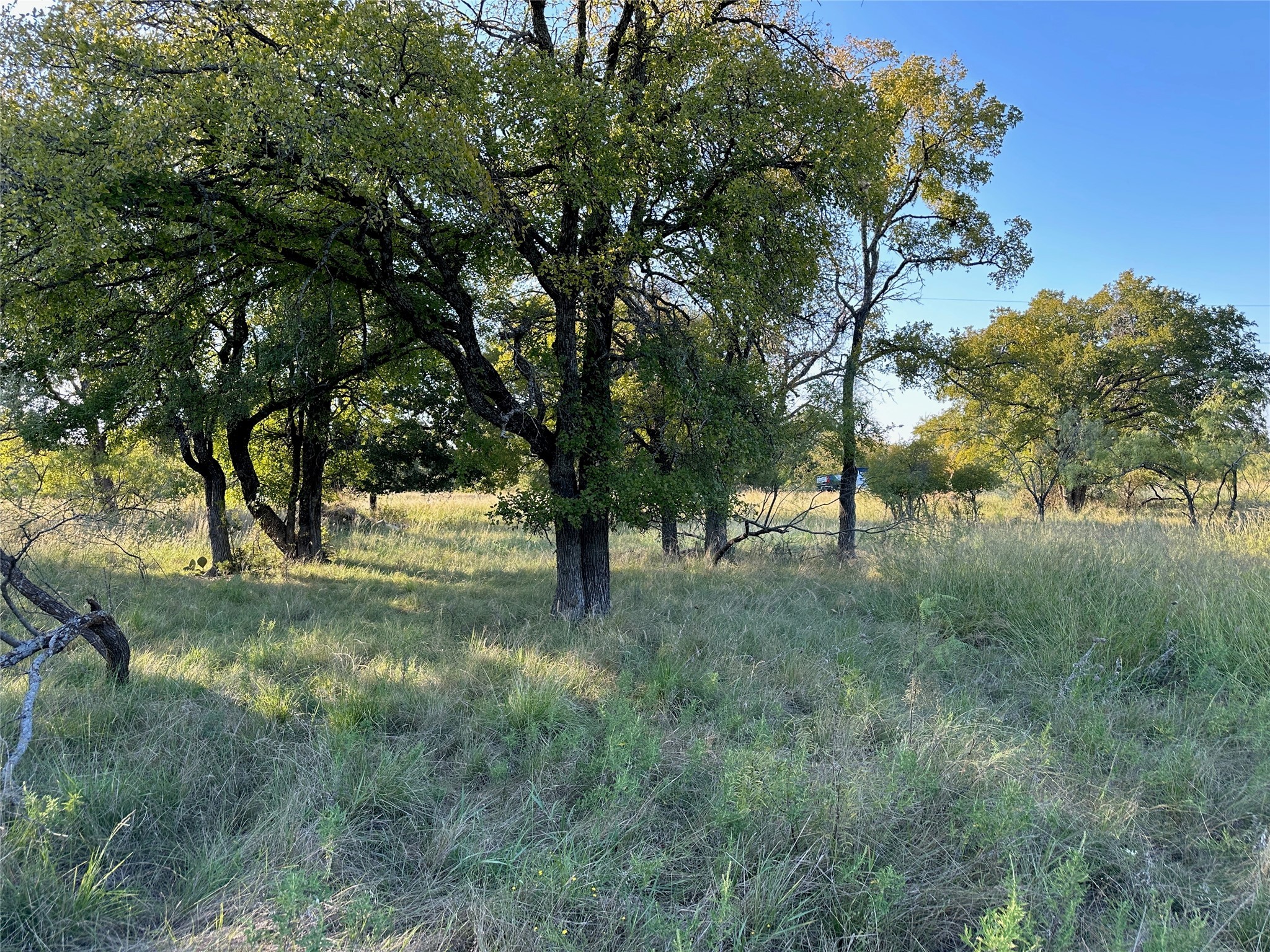 TBD335 Breezy Street Brownwood TX 76801