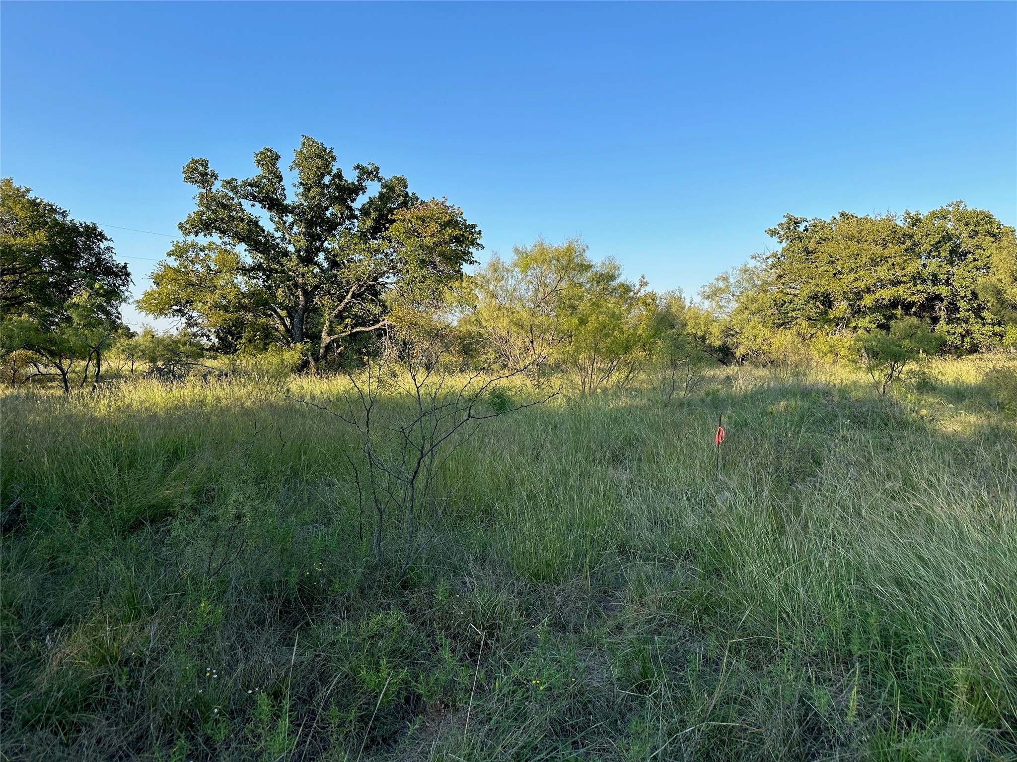 TBD335 Breezy Street Brownwood TX 76801