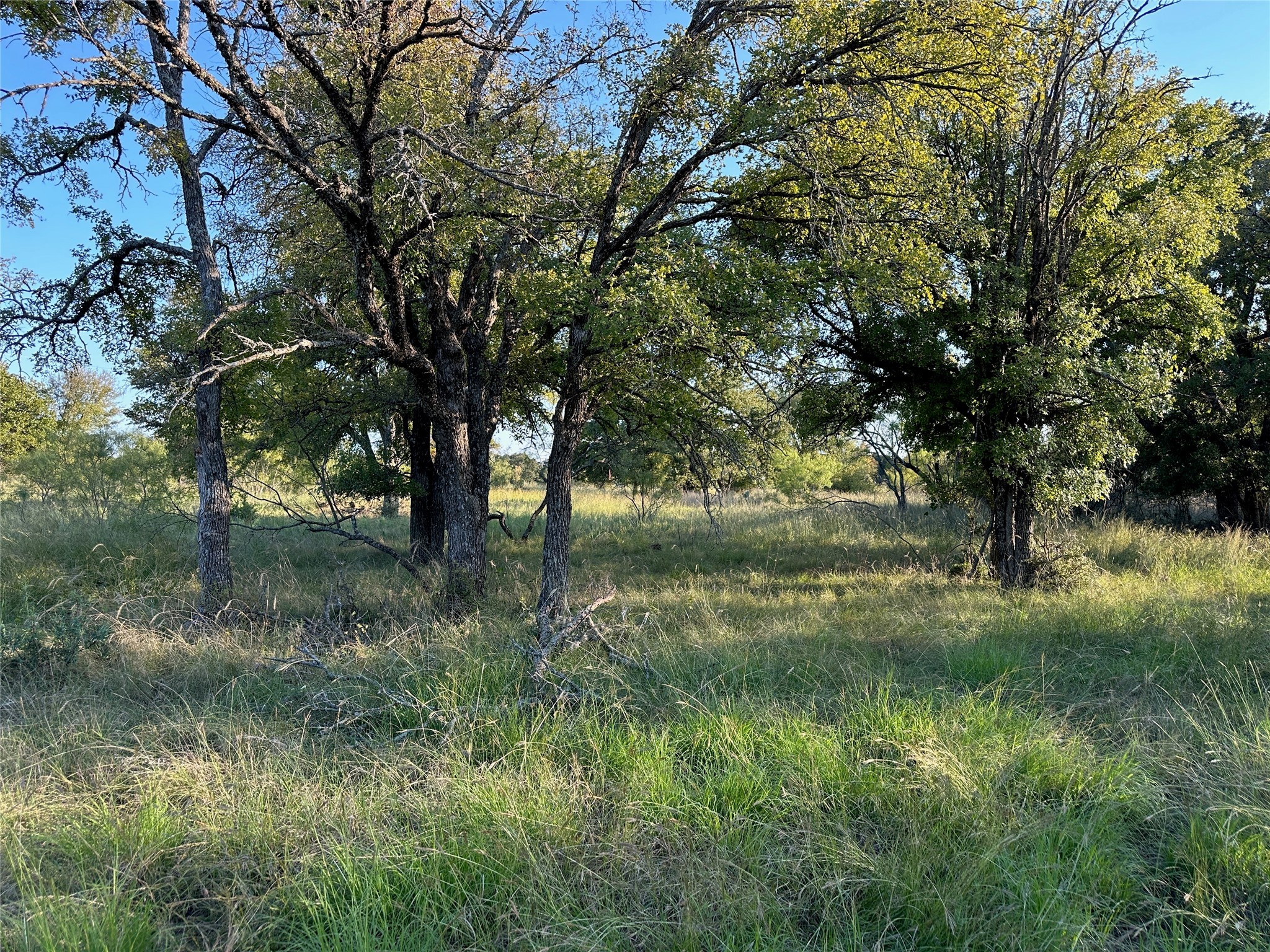 TBD335 Breezy Street Brownwood TX 76801