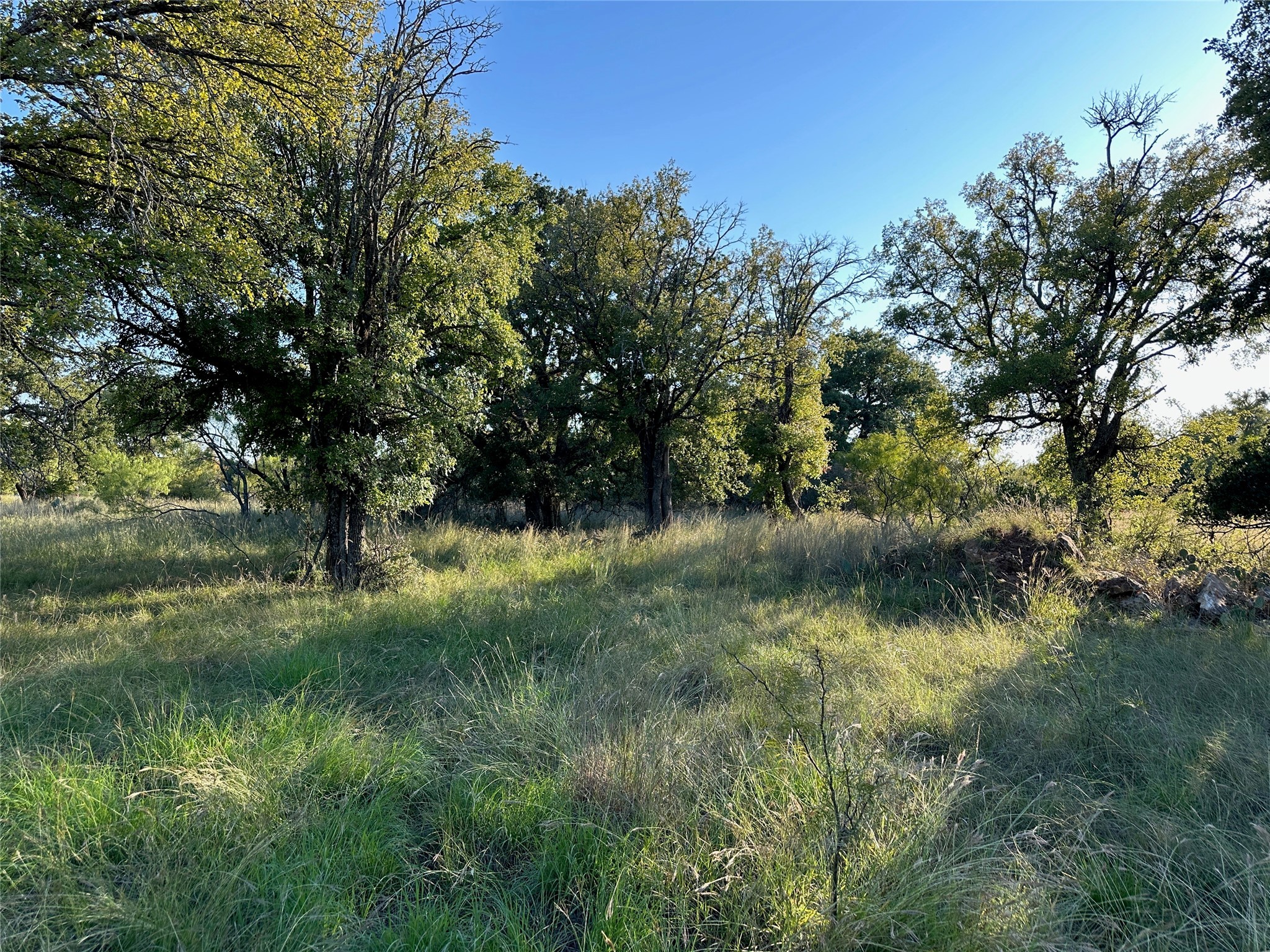 TBD335 Breezy Street Brownwood TX 76801