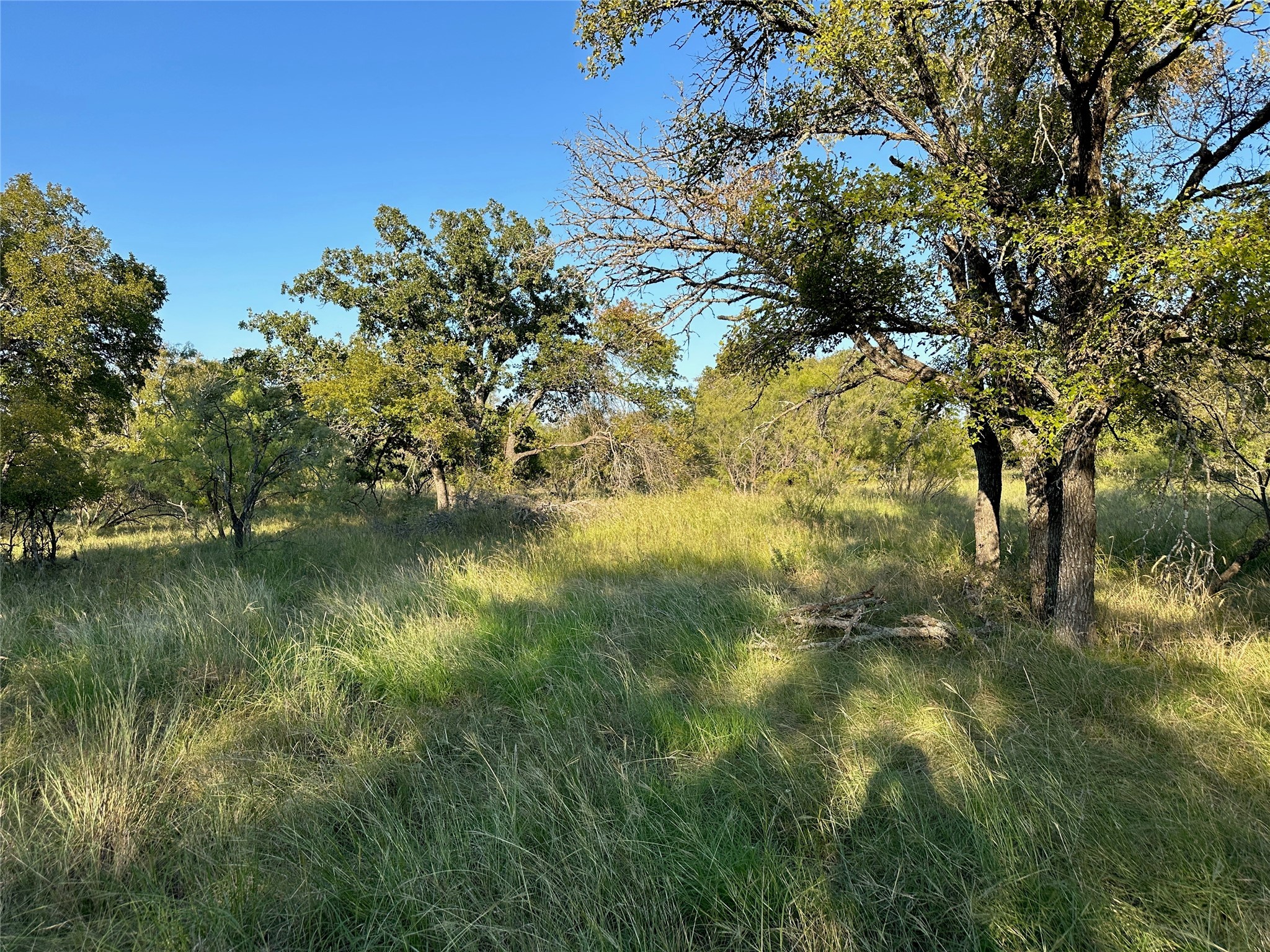 TBD335 Breezy Street Brownwood TX 76801