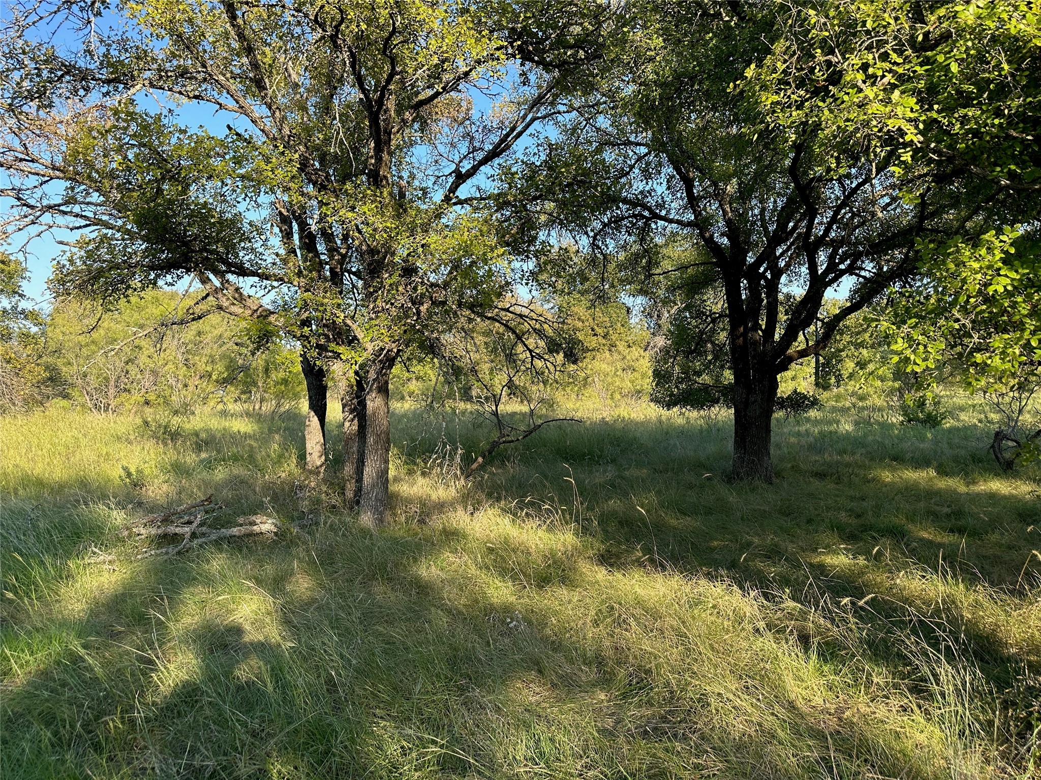 TBD335 Breezy Street Brownwood TX 76801