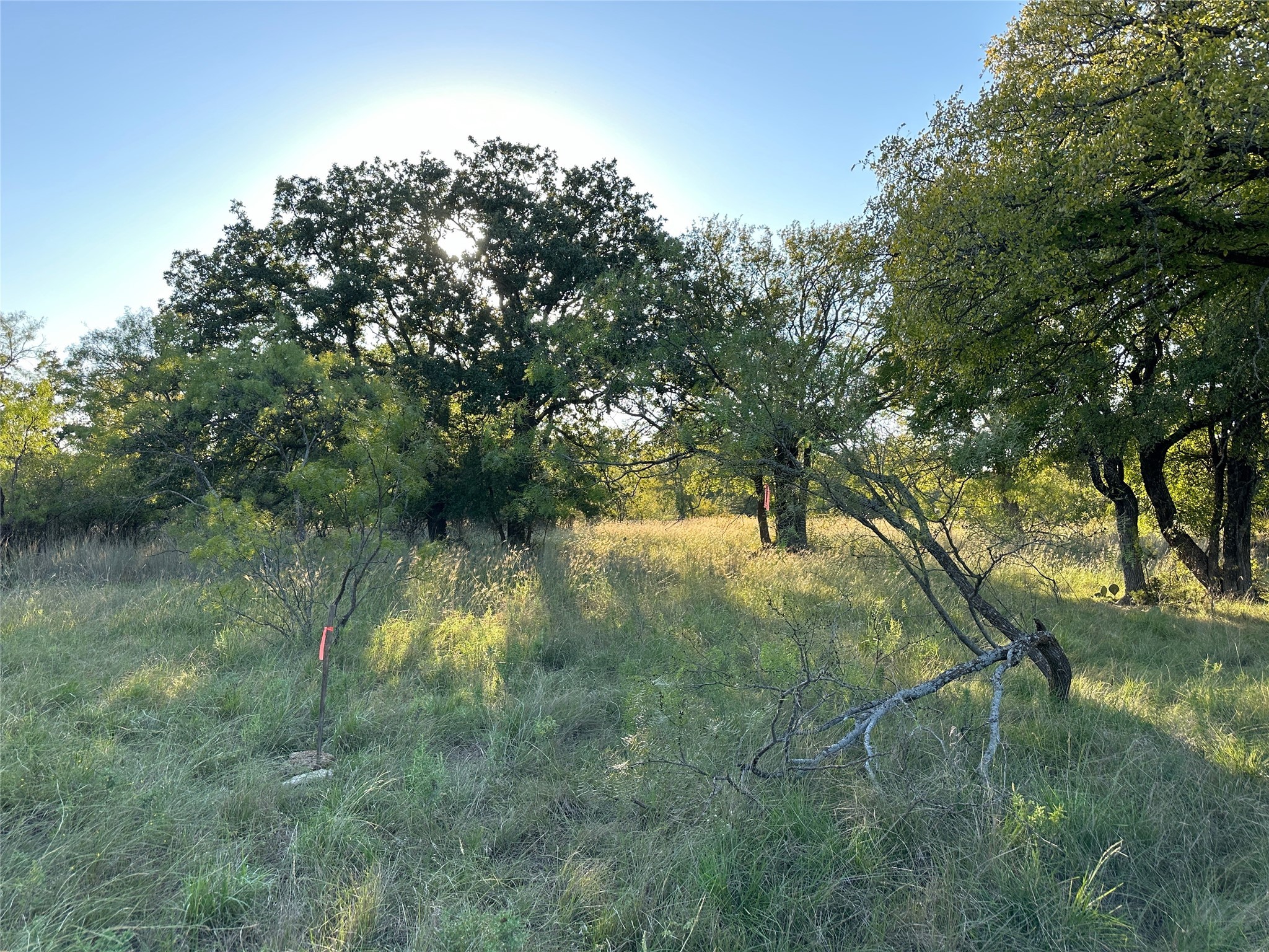 TBD335 Breezy Street Brownwood TX 76801